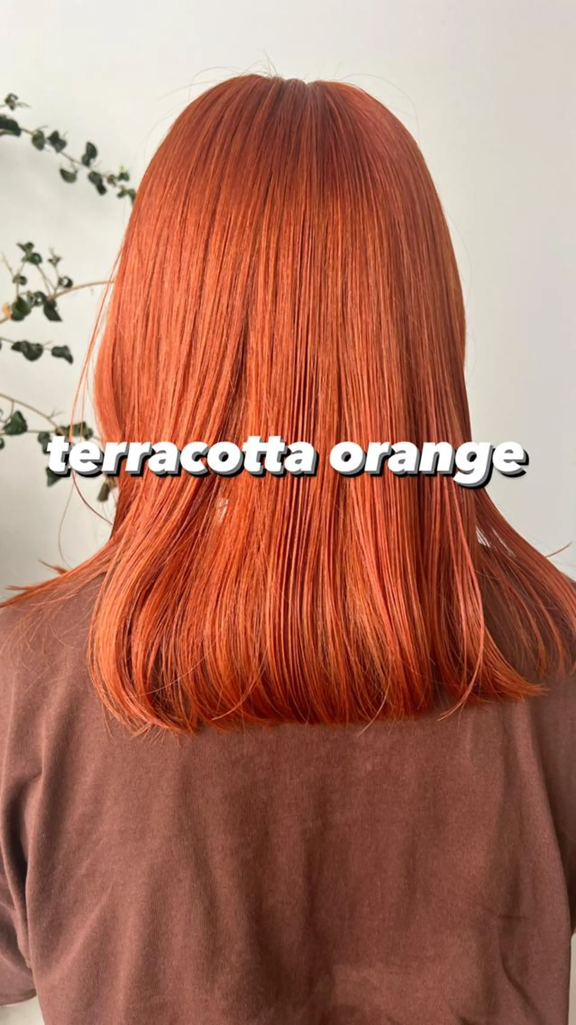 ミディアム カラー 顔周りカット/透明感 カラー✂️MEIのヘアスタイル