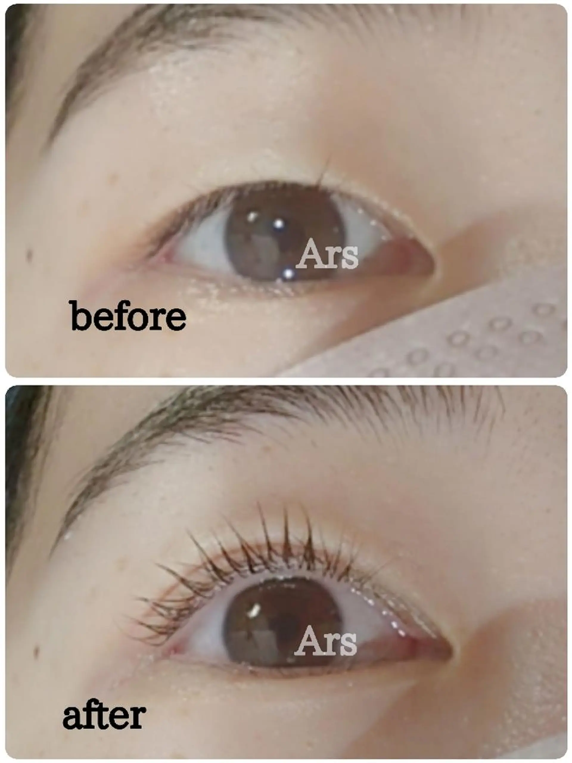 マツエク・マツパ アイリッドアップパーマ Ars (アルス)所属・Ars (アルス)のマツエク・マツパデザイン