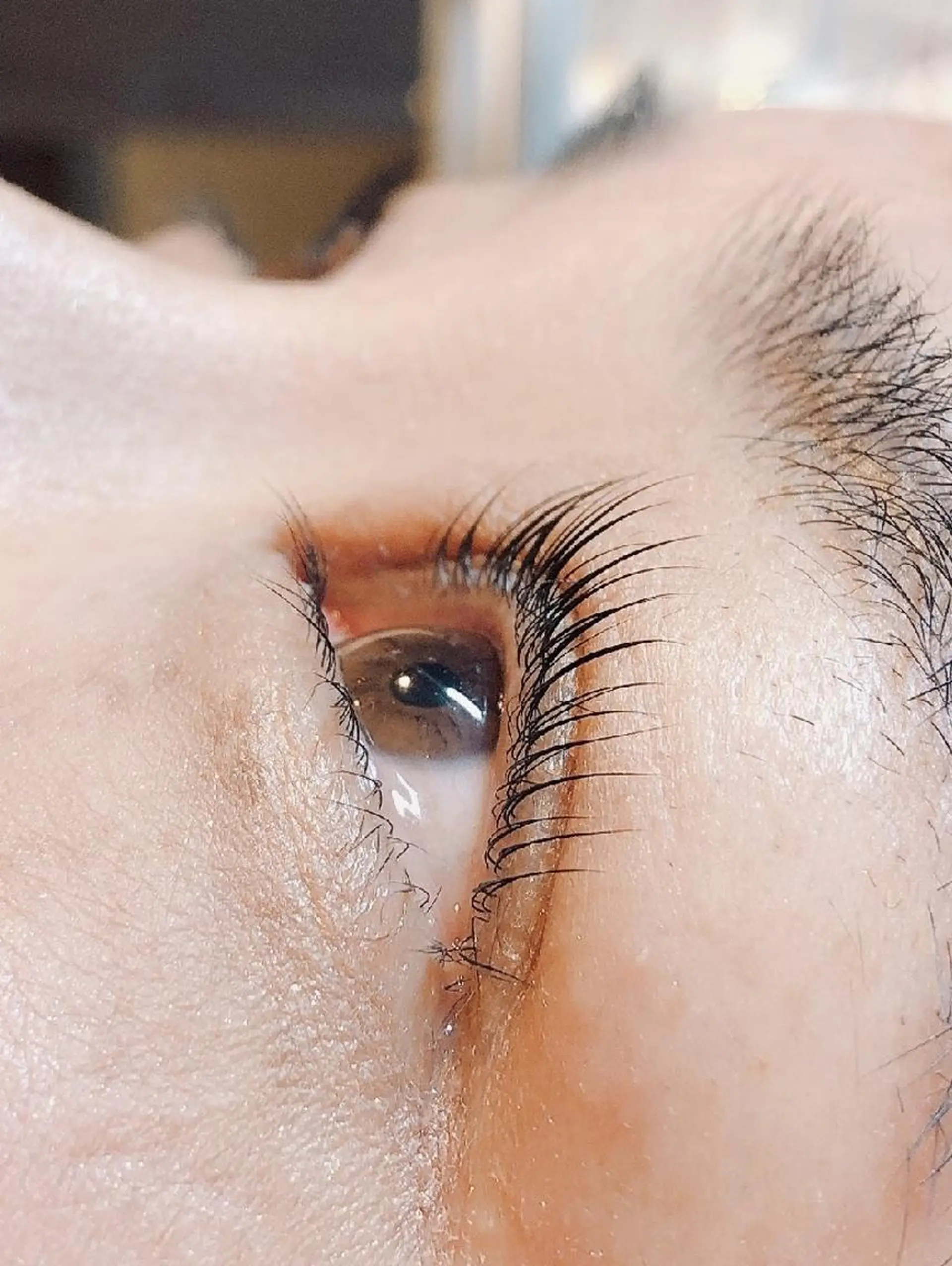 マツエク・マツパ バービーラッシュリフト まつげパーマ Rinto/ makoのマツエク・マツパデザイン