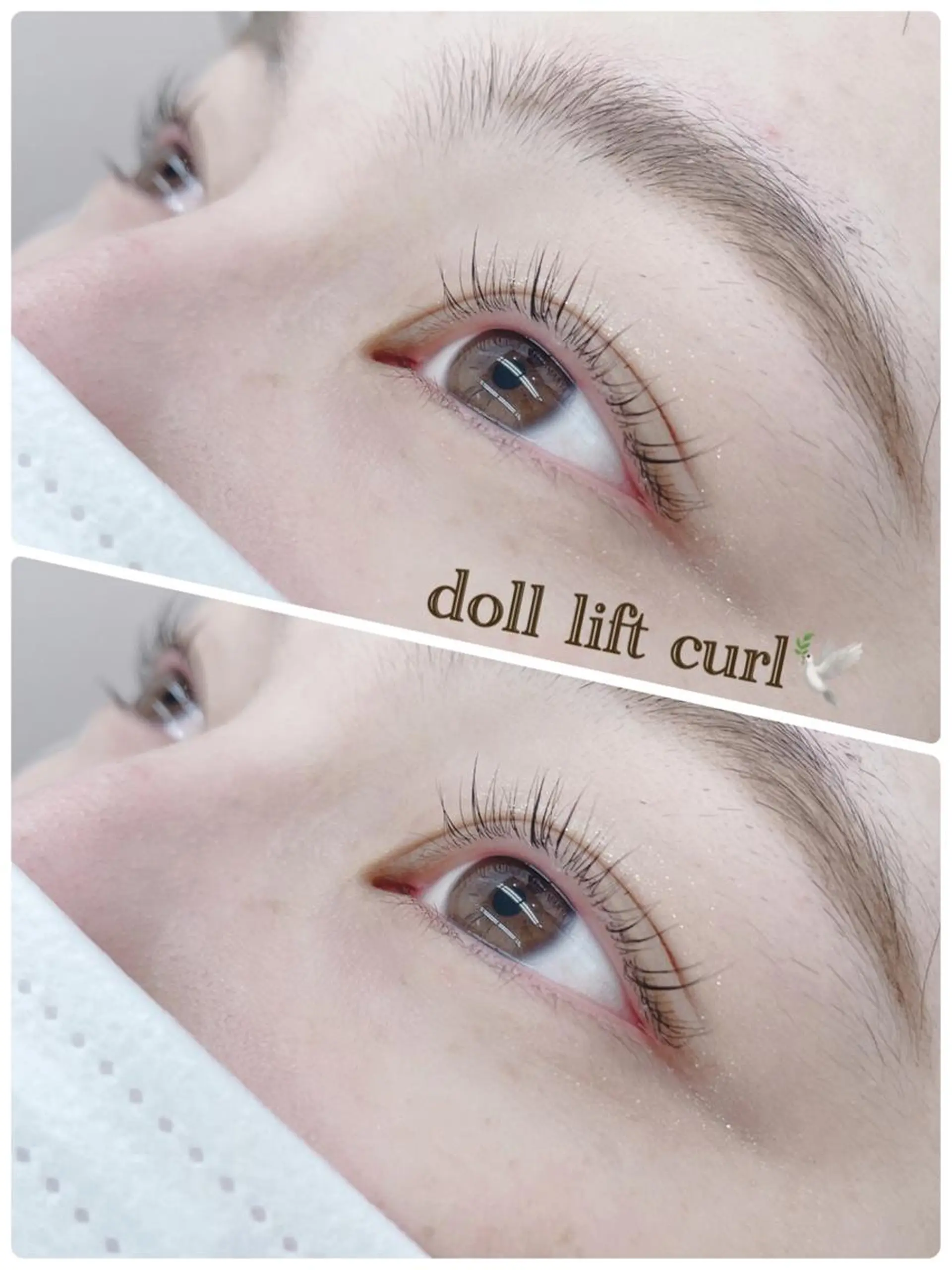 マツエク・マツパ Cカール WE RULE 札幌店 【ウィールール 札幌店】所属・✨️大人ショート 髙橋朋花のヘアスタイル