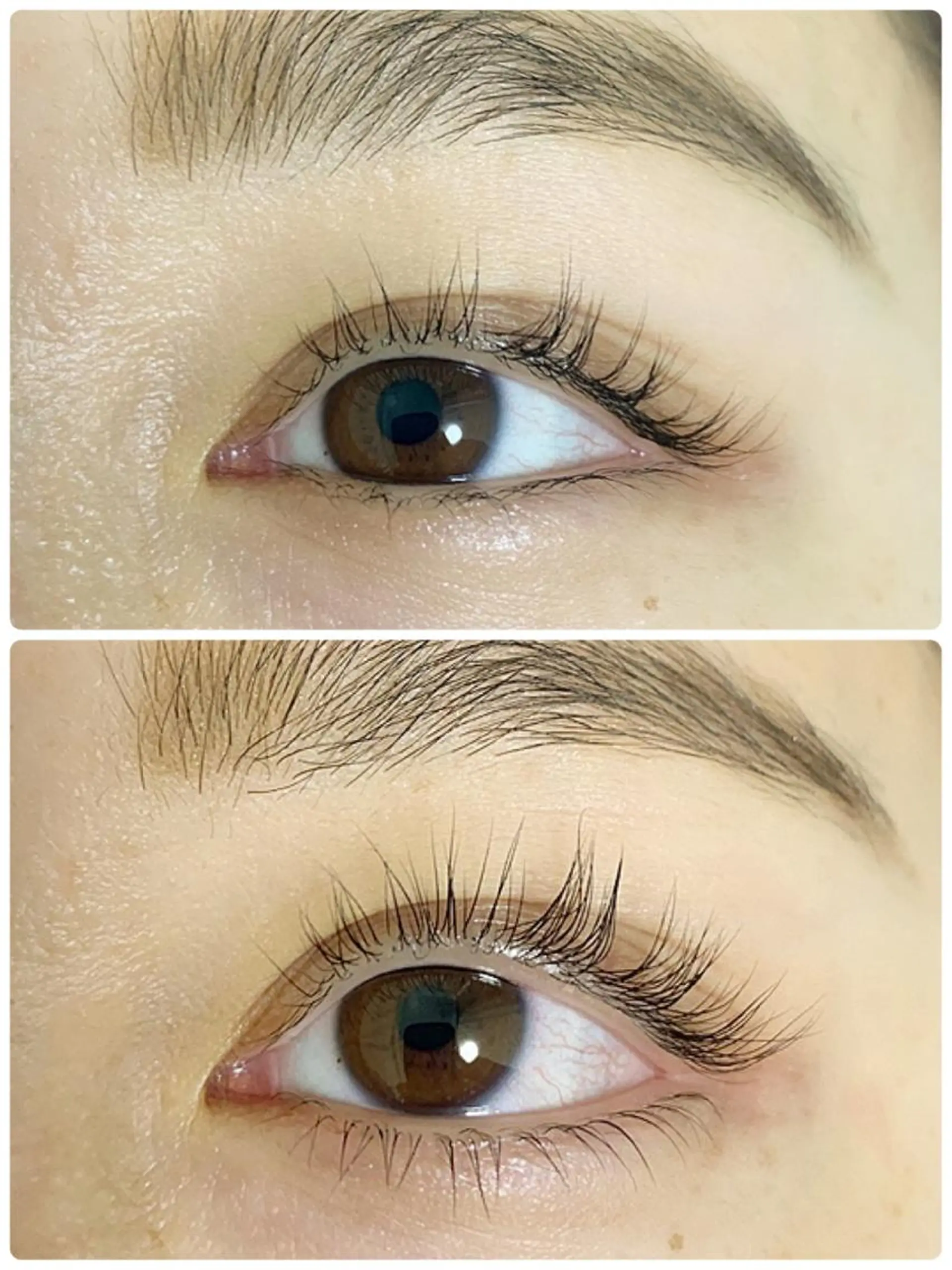 マツエク・マツパ まつげパーマ 下まつげエクステ aime 木下　真木のマツエク・マツパデザイン