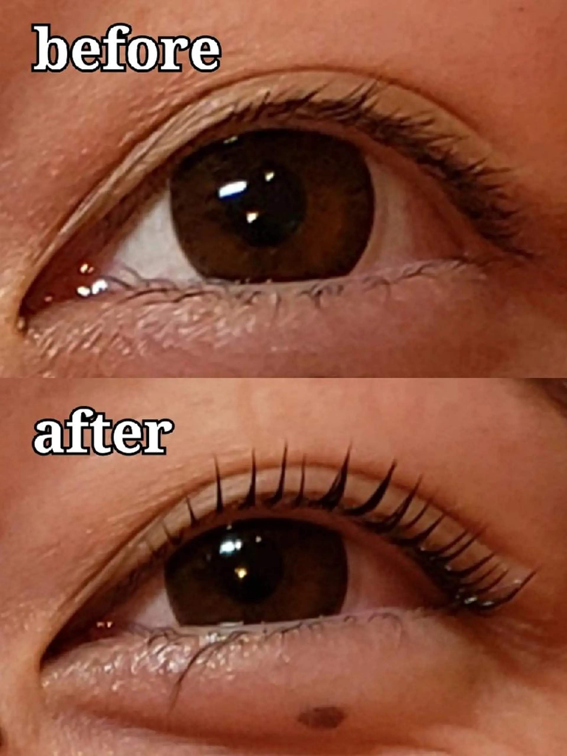 マツエク・マツパ パリジェンヌラッシュリフト マツパ トータルビューティー  バルフィット所属・冨永 小絵のマツエク・マツパデザイン