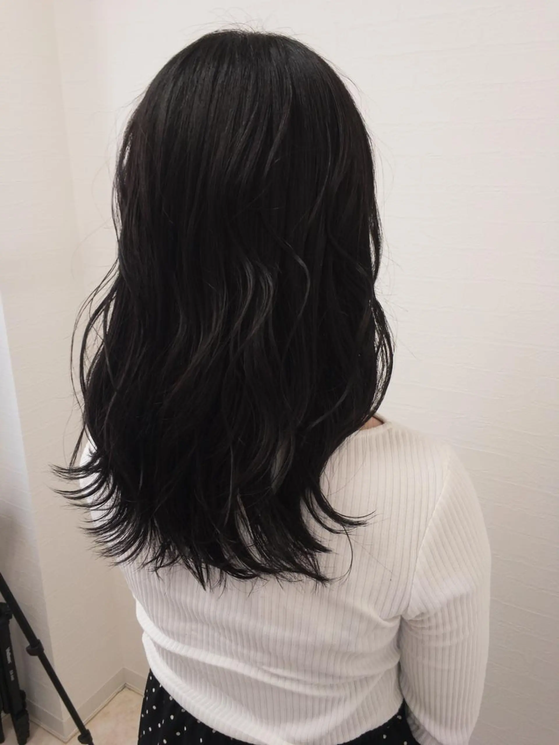 ロング カラー 星野 美沙のヘアスタイル