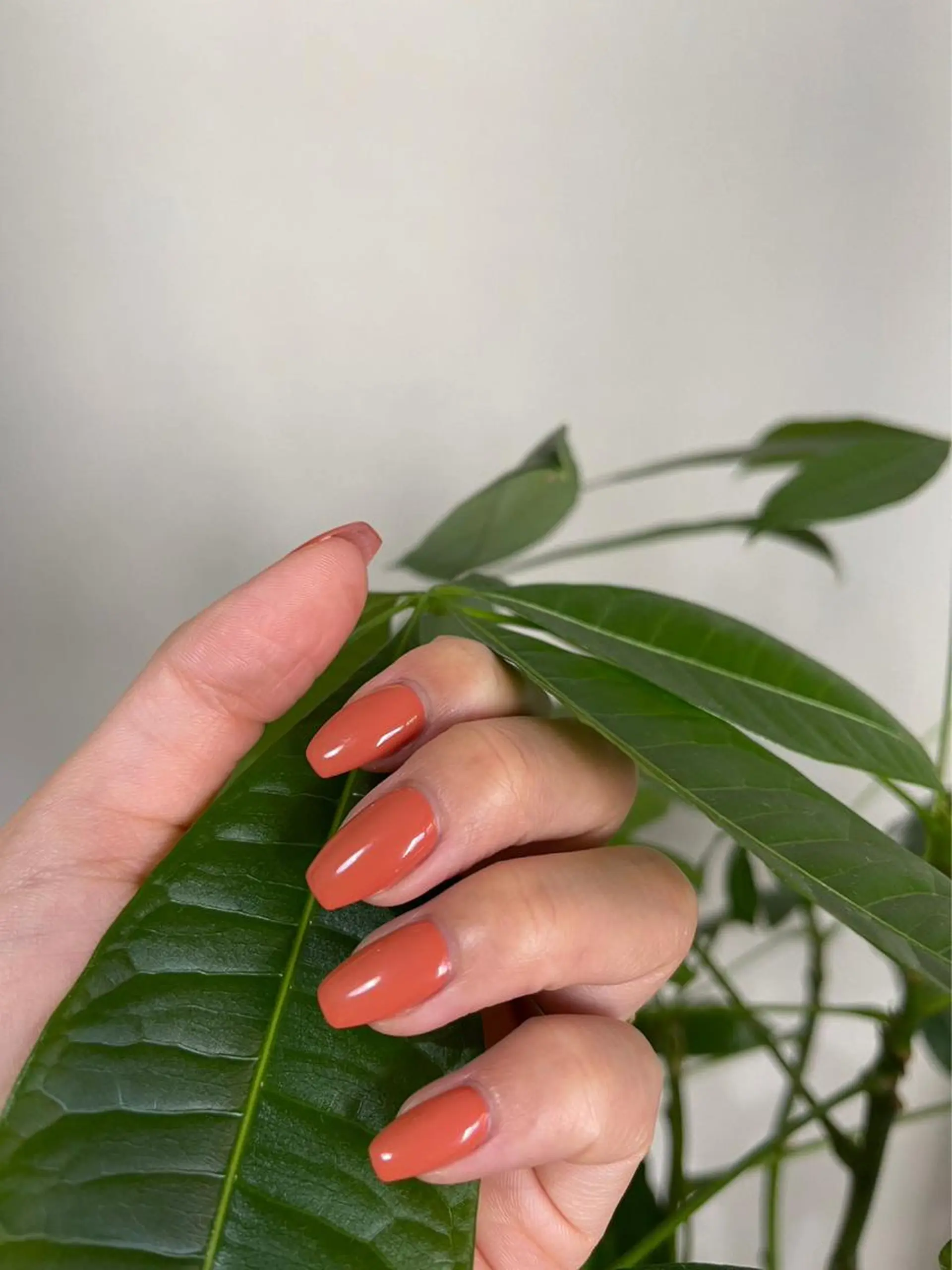 ネイル ハンドネイル ハンドケア yn salonのネイルデザイン