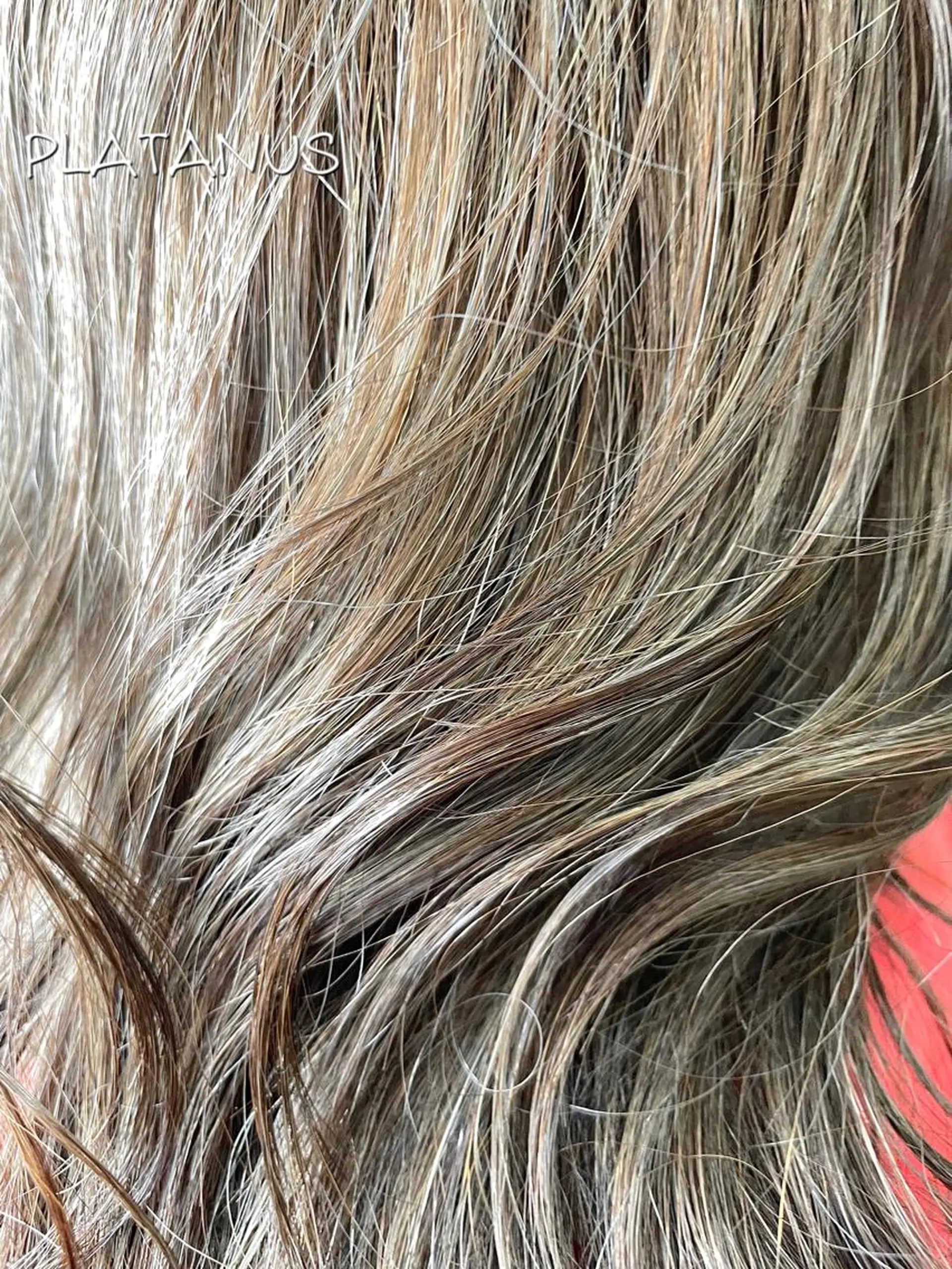 セミロング カラー PLATANUS AOIのヘアスタイル