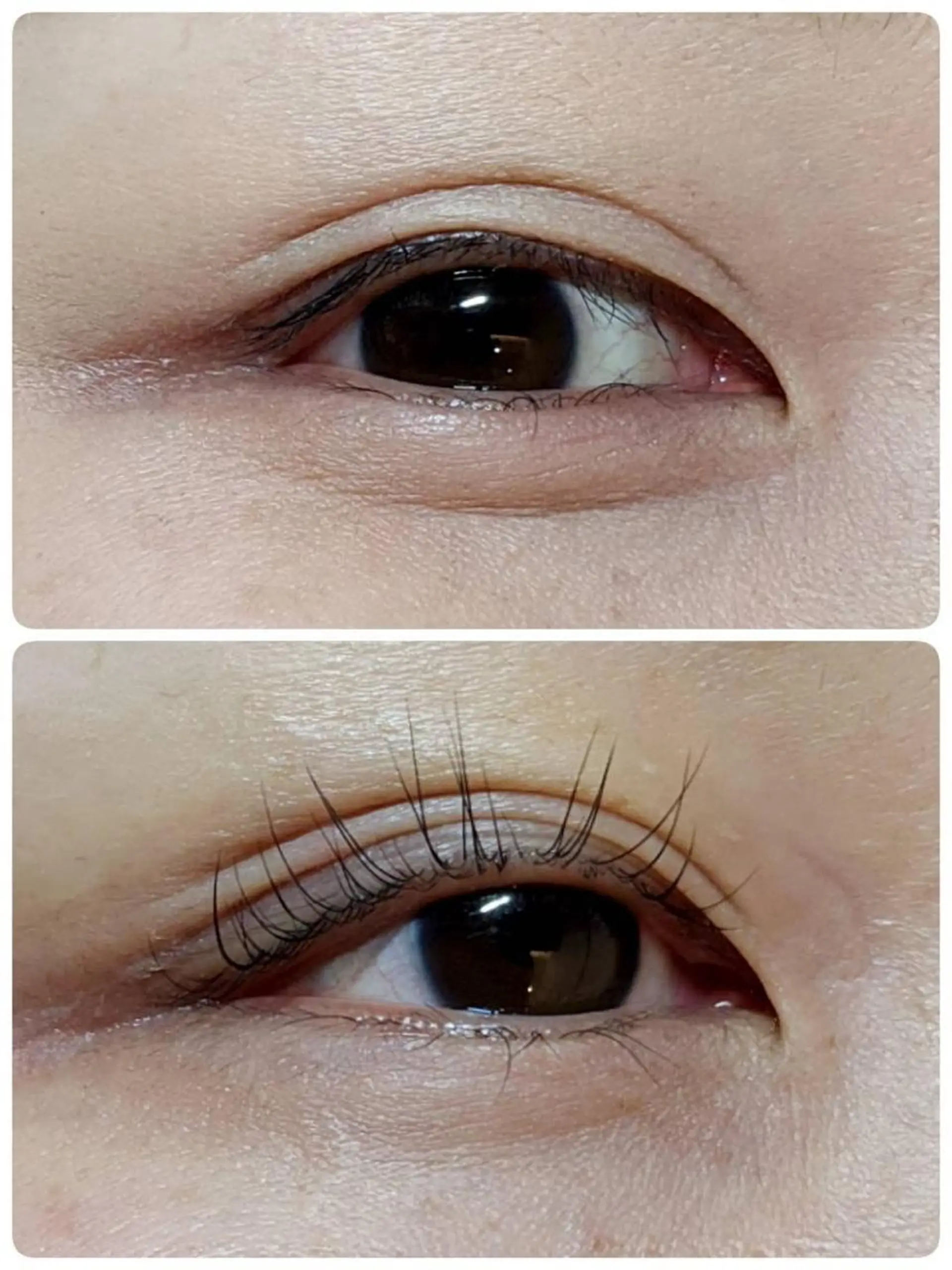 マツエク・マツパ パリジェンヌラッシュリフト ehl:fa Beautyのマツエク・マツパデザイン