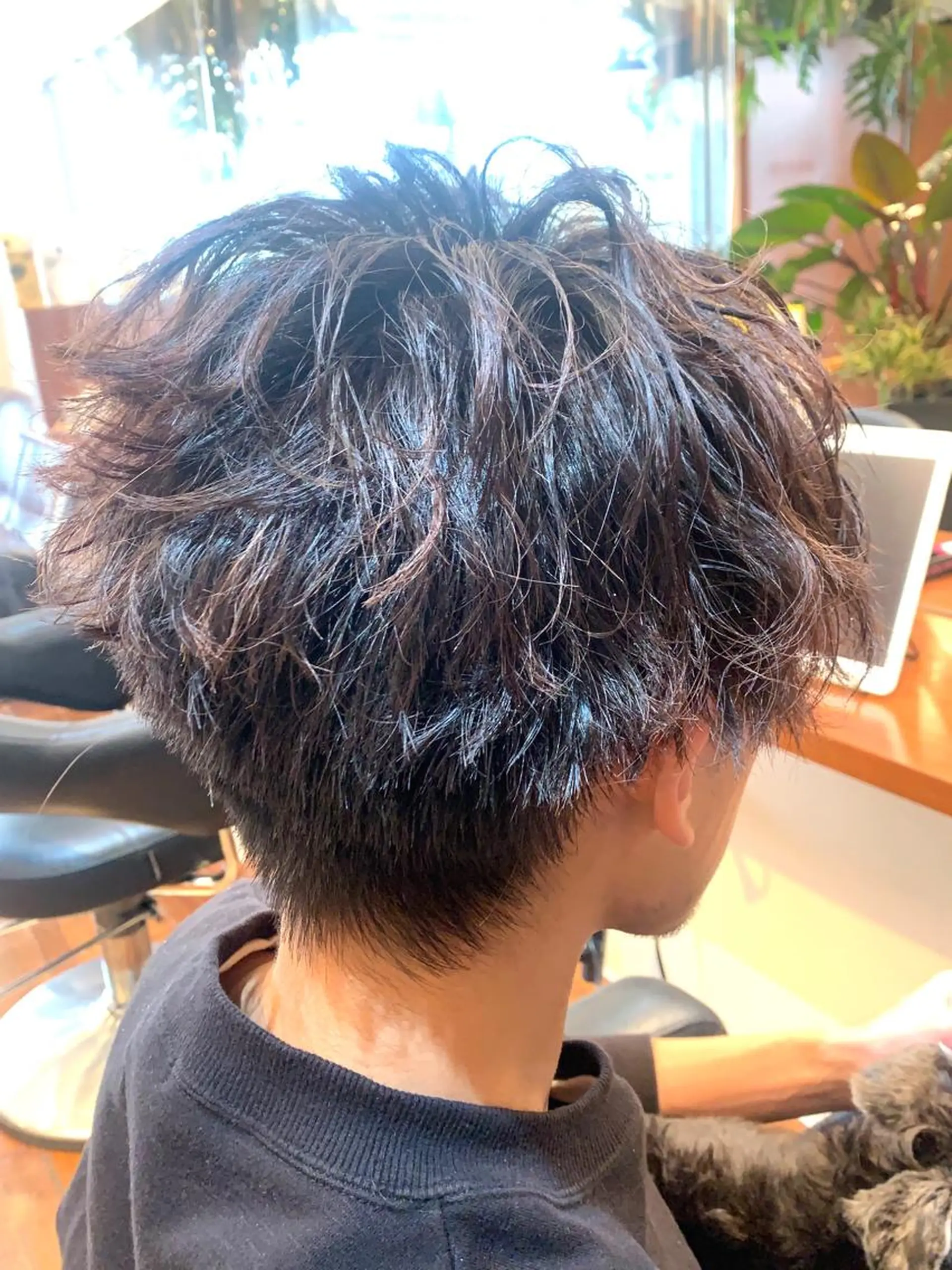 ショート パーマ DOG MANIA PiNCH所属・大人女性スタイル マルイチのヘアスタイル