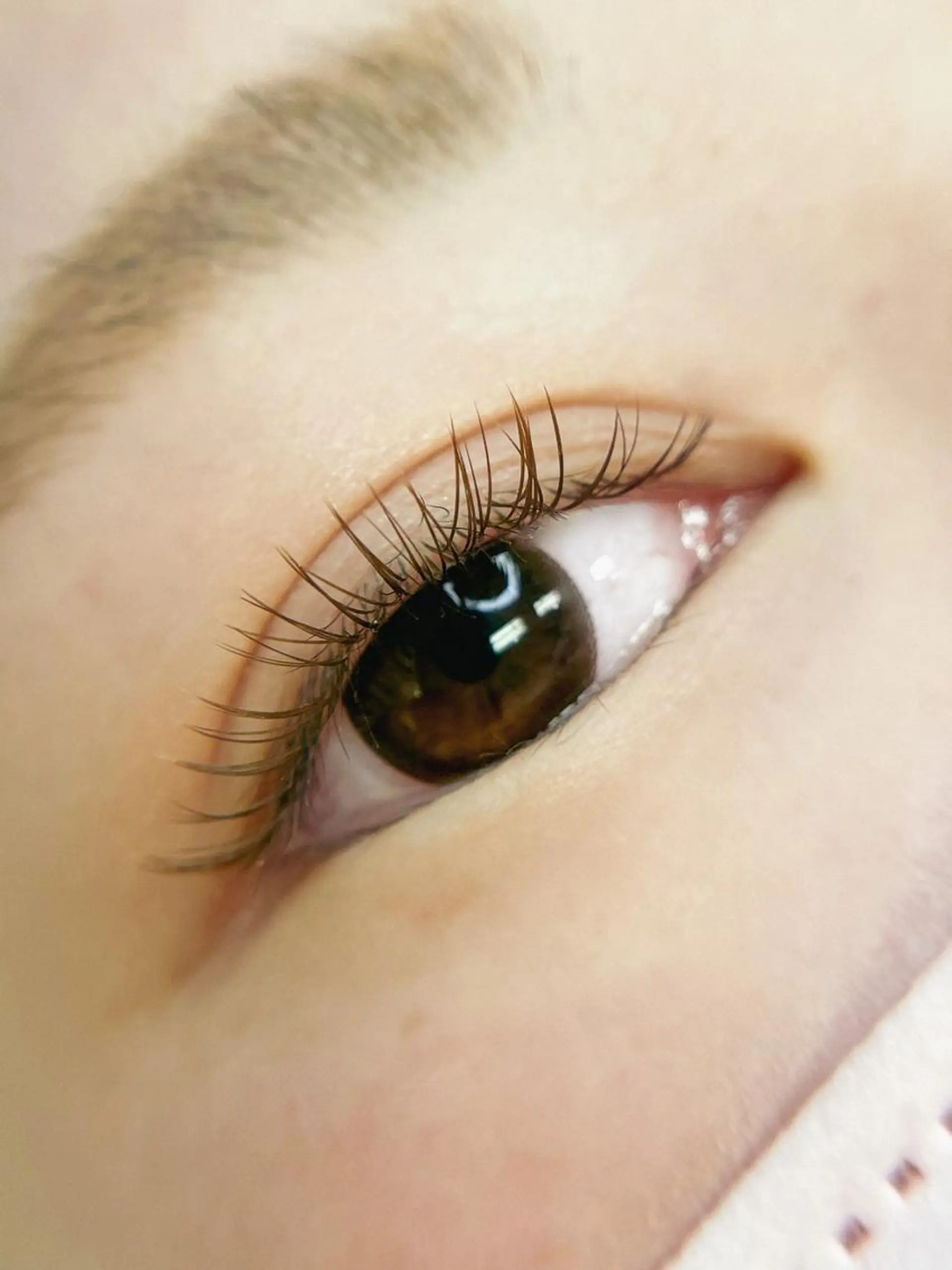 マツエク・マツパ 千葉中央/まつげ 大会日本一獲得のマツエク・マツパデザイン