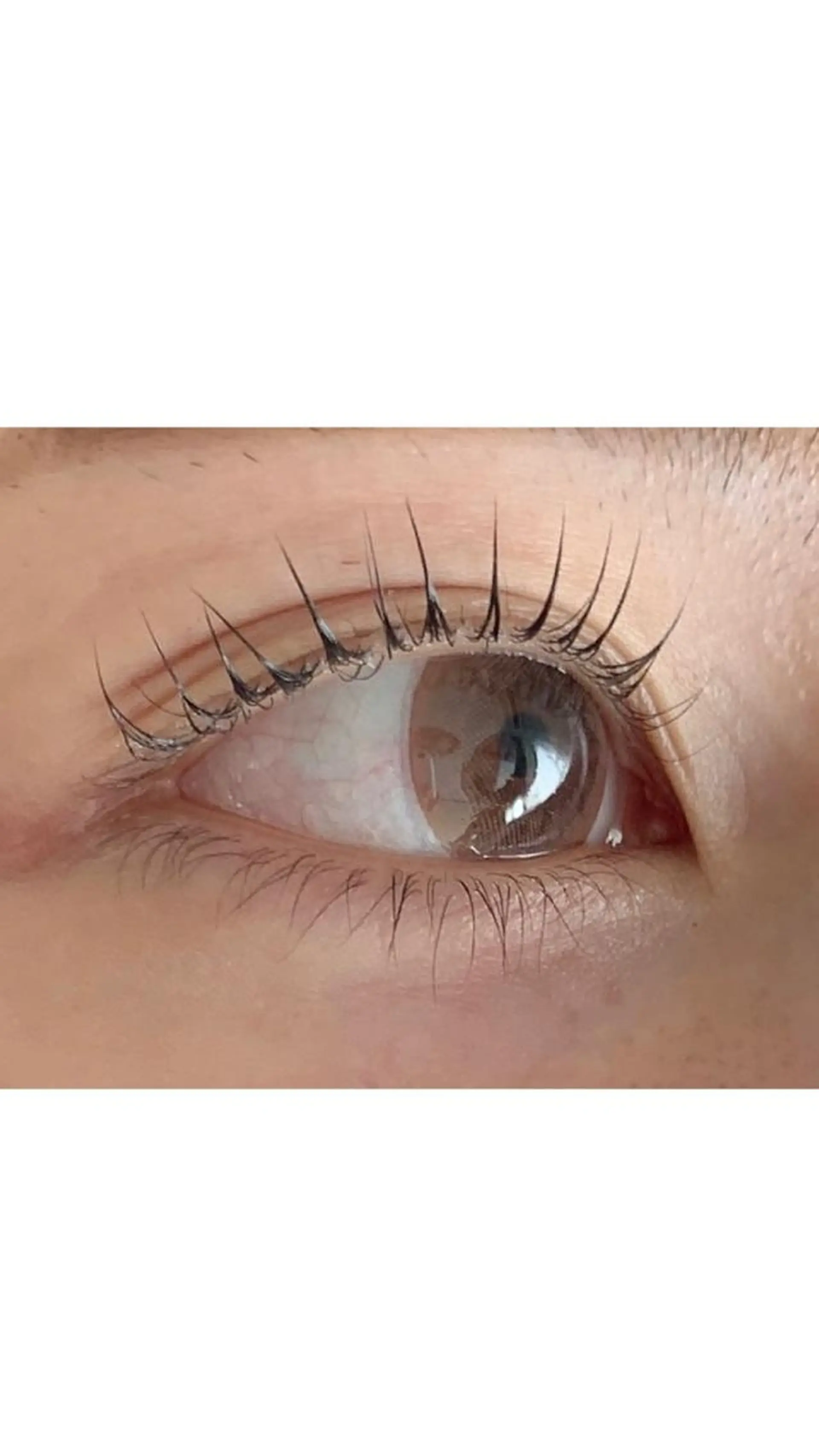 マツエク・マツパ パリジェンヌラッシュリフト ♡tiana juna˖ ࣪⊹のマツエク・マツパデザイン