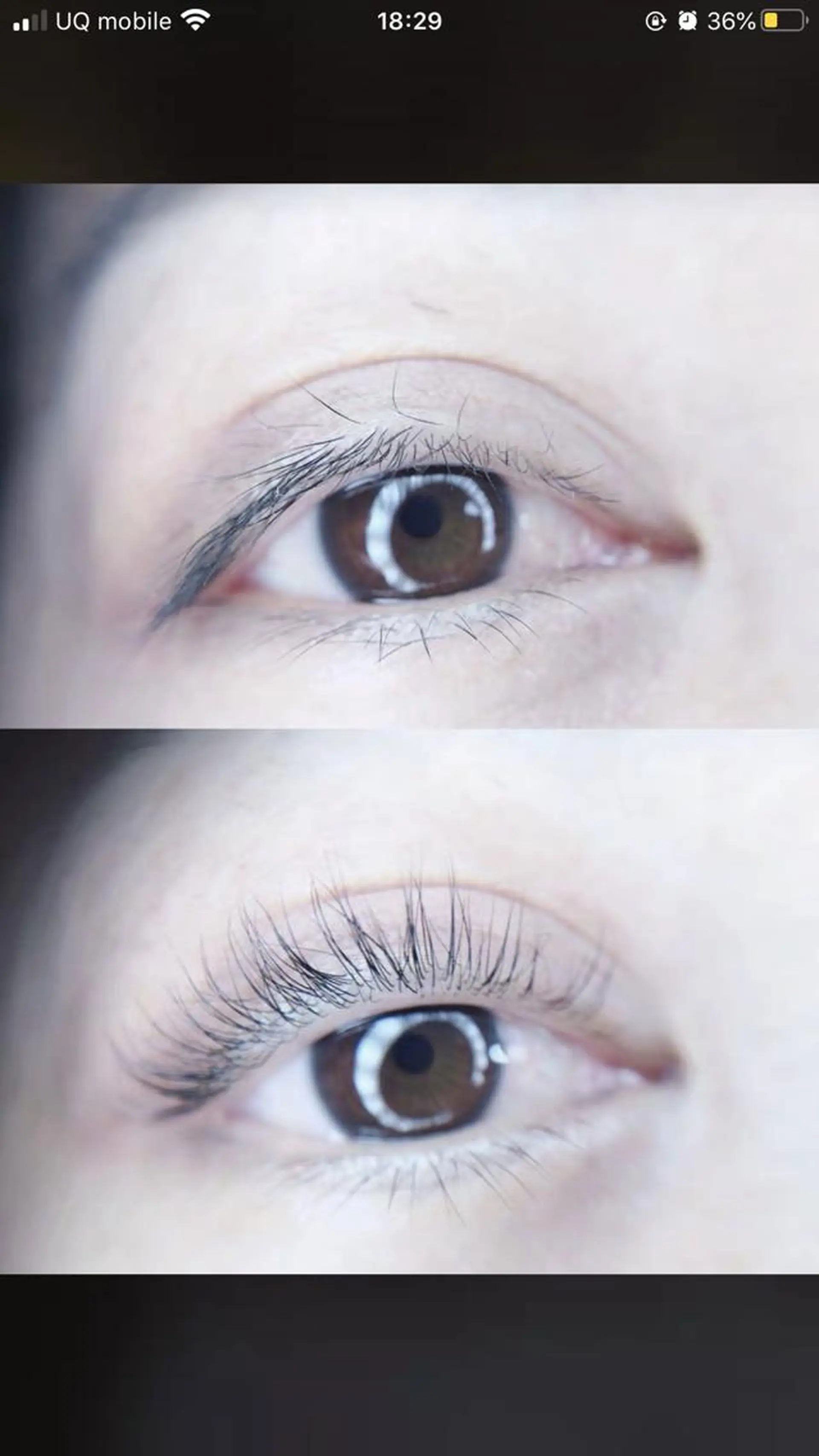 マツエク・マツパ Cute beauty2のマツエク・マツパデザイン