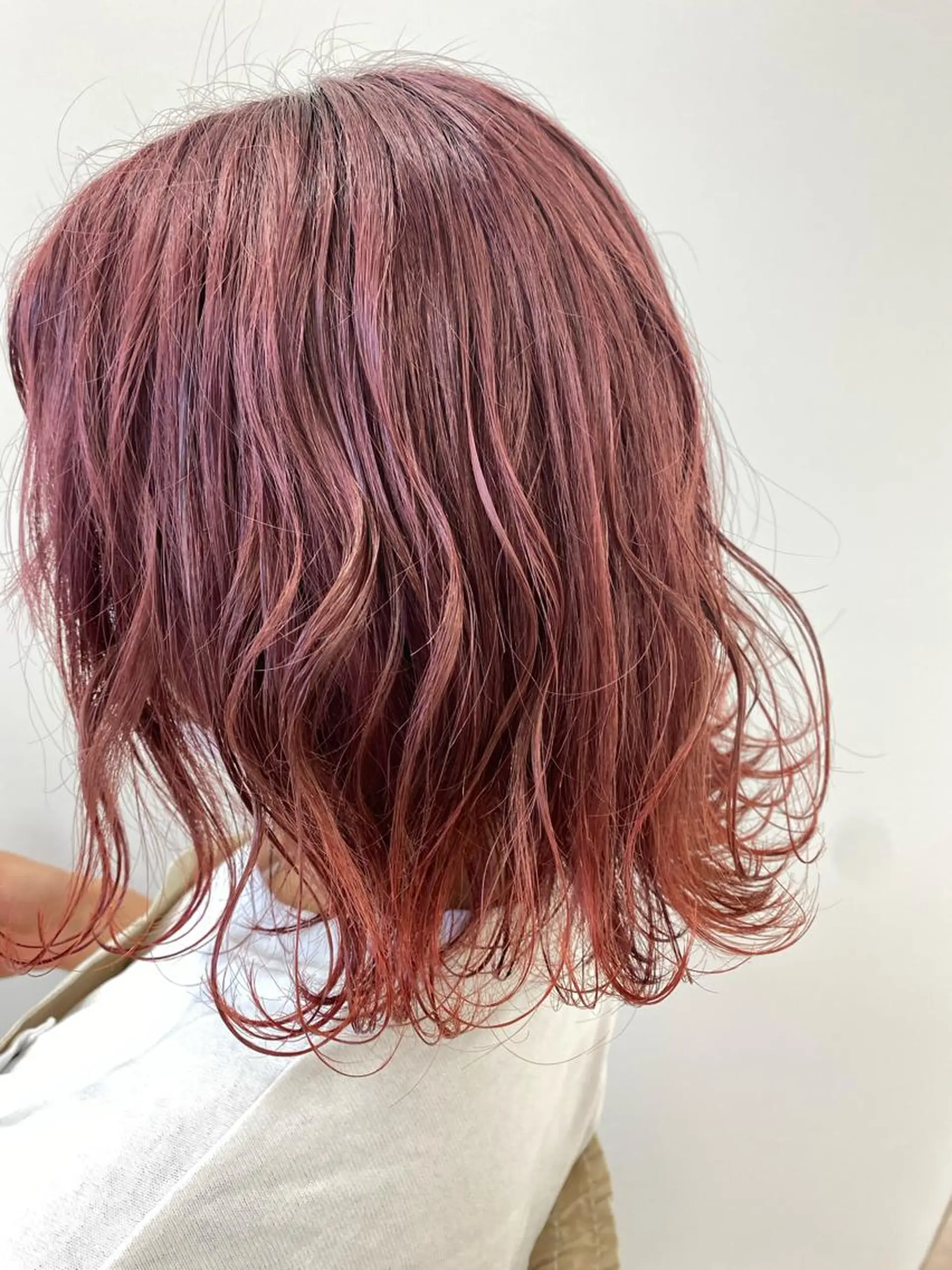 ショート カラー グラデーションカラー ハイトーン/ウルフ /レイヤー/坂野幸伸のヘアスタイル