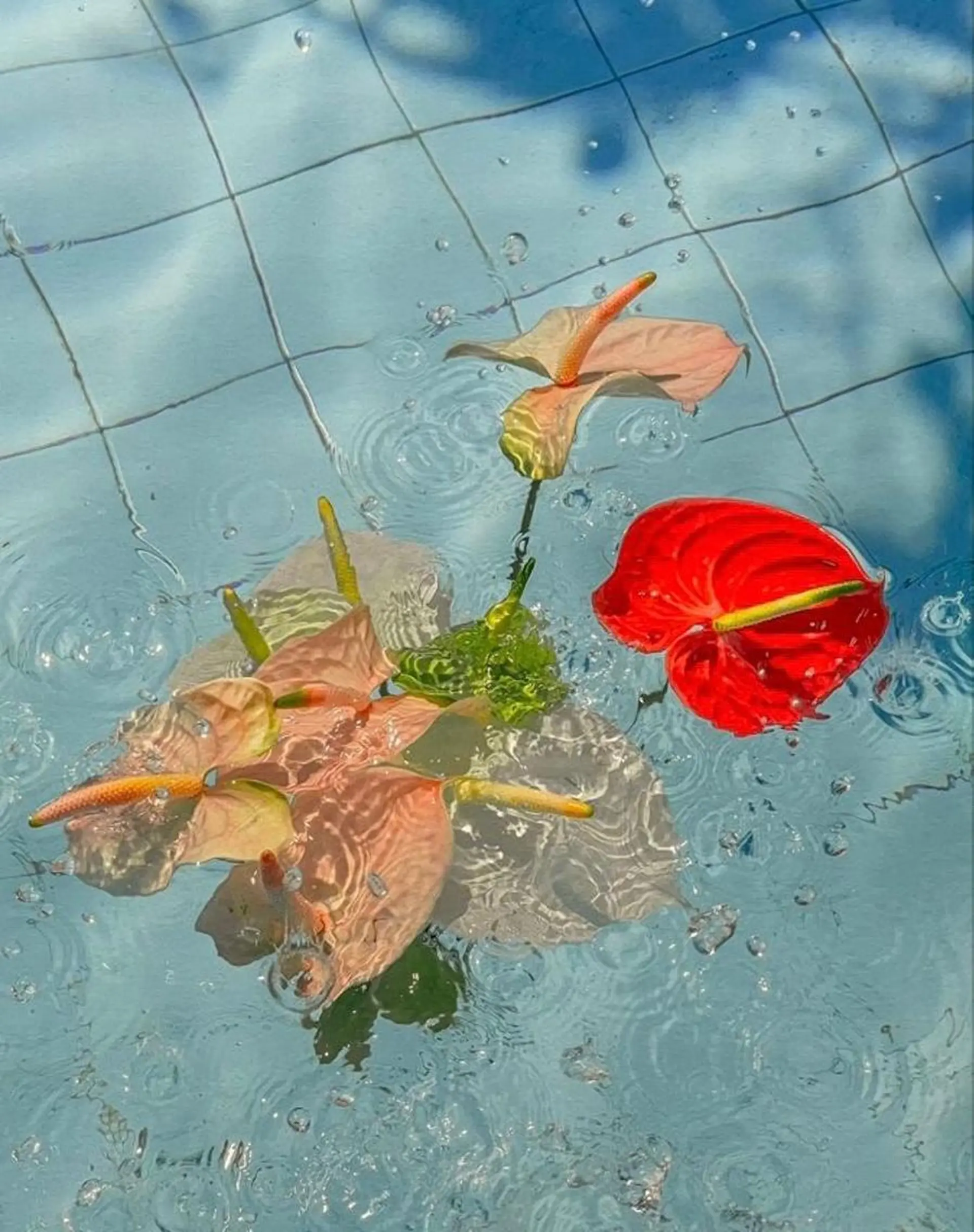 ショート カラー パーマ ヘアアレンジ メンズ キッズ ネイル マツエク・マツパ アイブロウ ハリウッドブロウリフト 眉毛ワックス脱毛 小顔カット Chloe-クロエ- 脱毛/フェイシャルのエステ・リラクイメージ