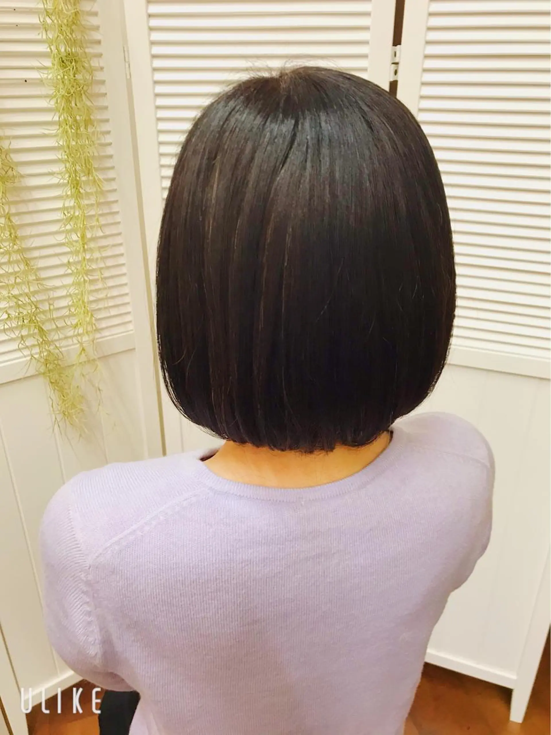 ショート 似合わせカット・ 鳥海 祐輔|TREEのヘアスタイル