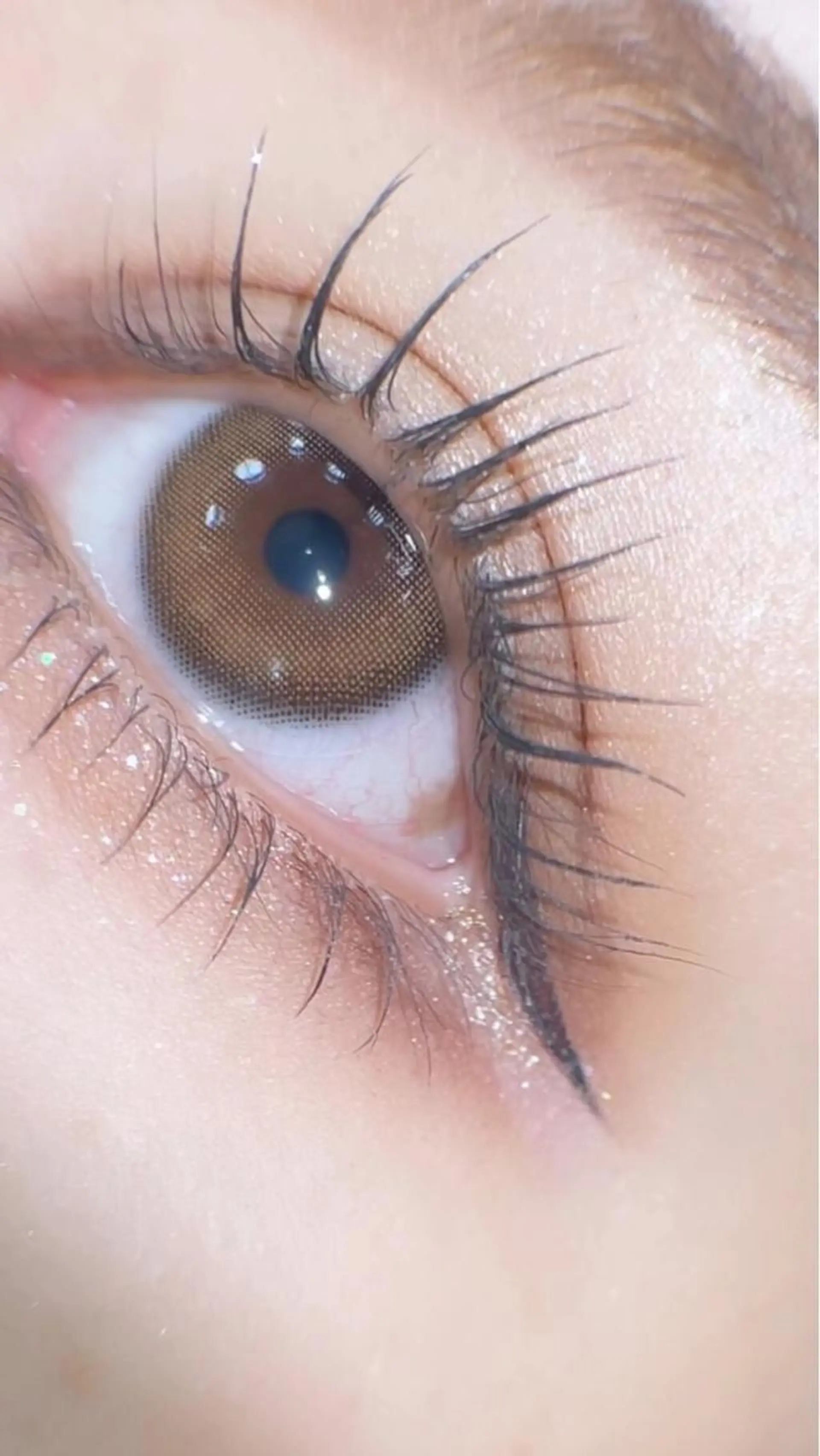 マツエク・マツパ まつげパーマ ELLY 🪩横浜のマツエク・マツパデザイン