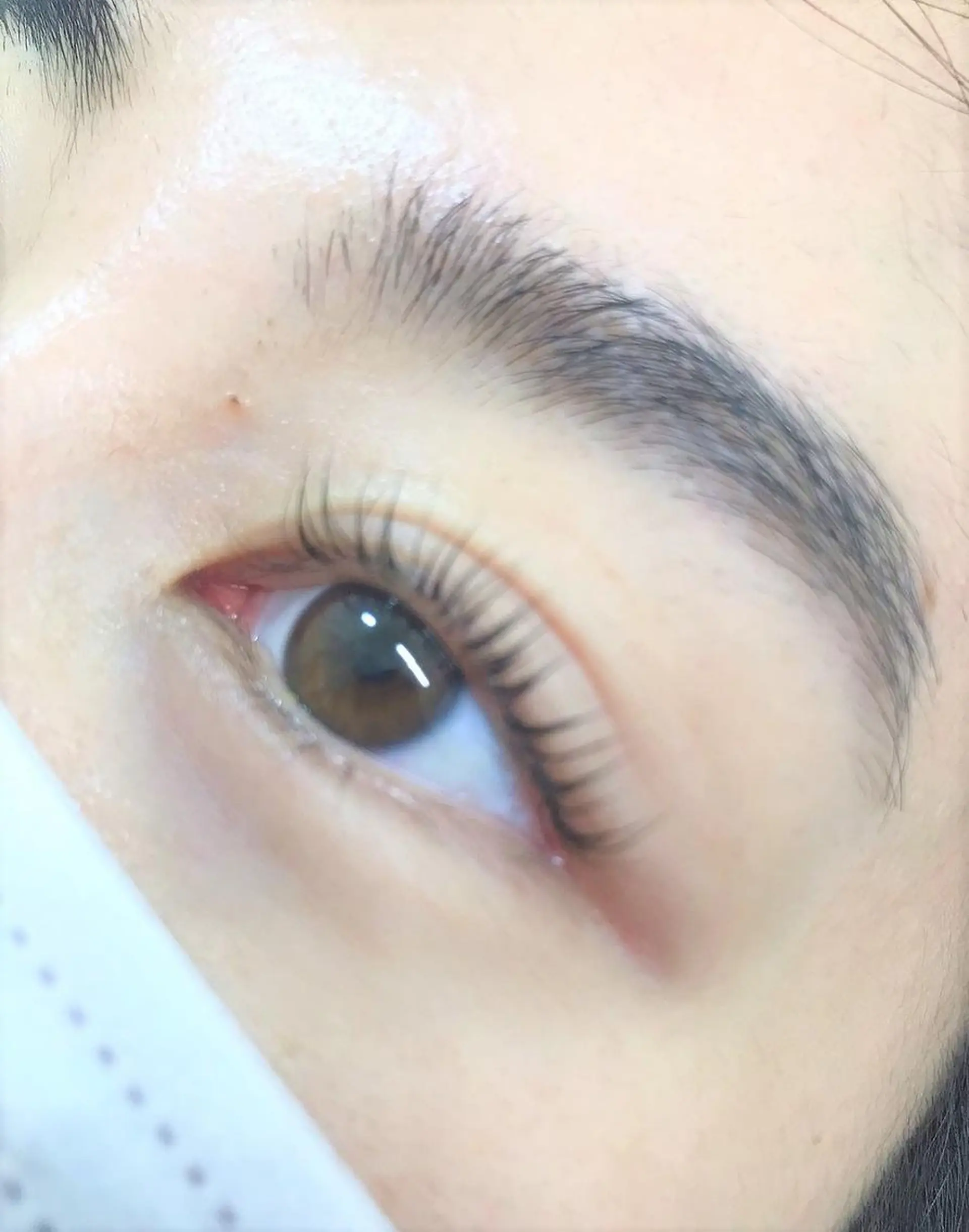 マツエク・マツパ パリジェンヌラッシュリフト まつげパーマ アイブロウ/まつぱ T-lash恵比寿店のマツエク・マツパデザイン