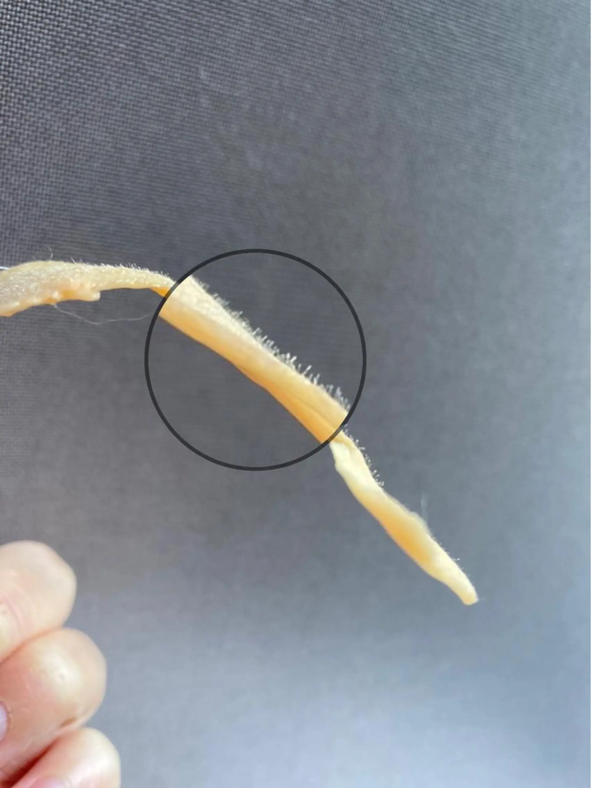 Amm所属・🏆艶肌ワックス🏆 ララピール✨Ammのエステ・リラクイメージ