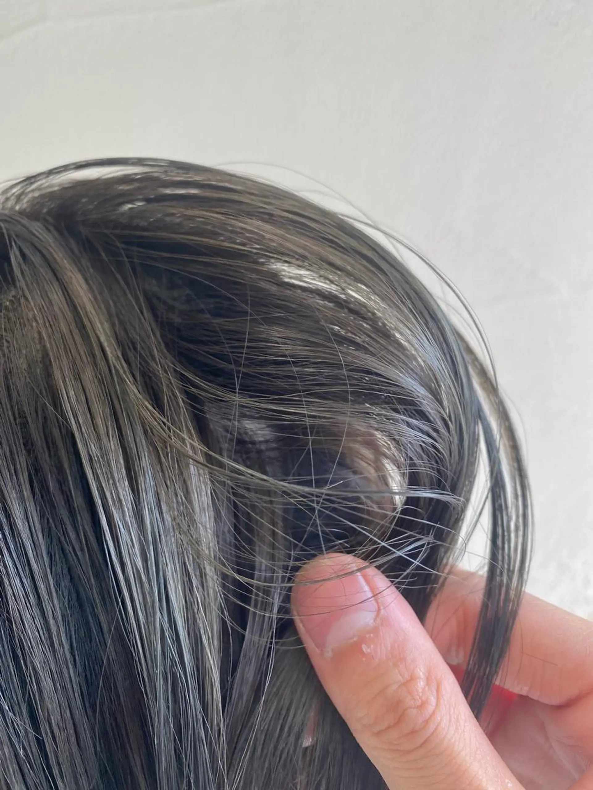 ショート カラー ショートボブ 透明感カラー グレージュ カーキグレージュ オリーブグレージュ ❄️中川 慎之介❄️のヘアスタイル