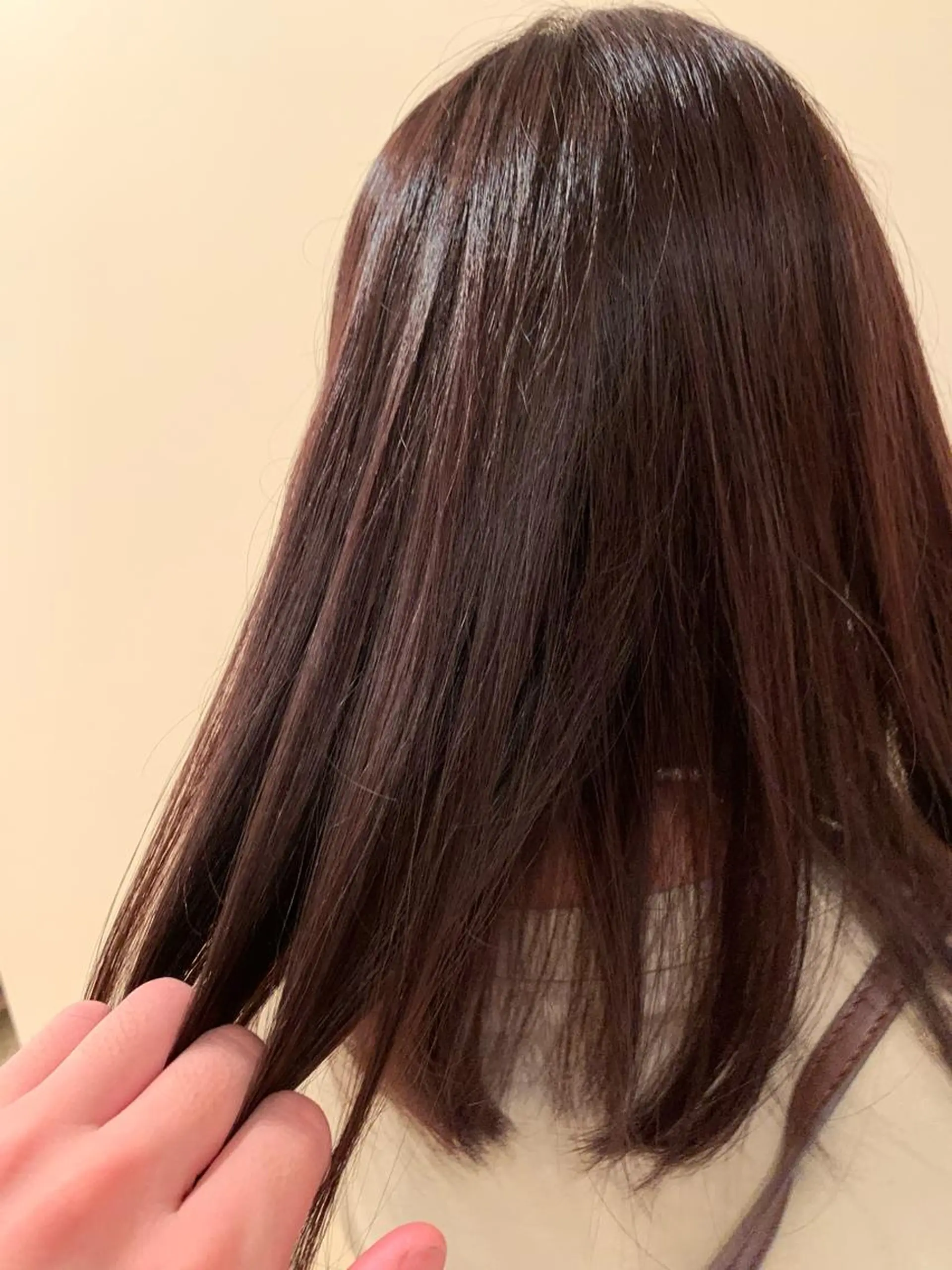 ミディアム ピンクブラウン BEAUTRIUM 265所属・カットモデル/ 大森弘貴のヘアスタイル