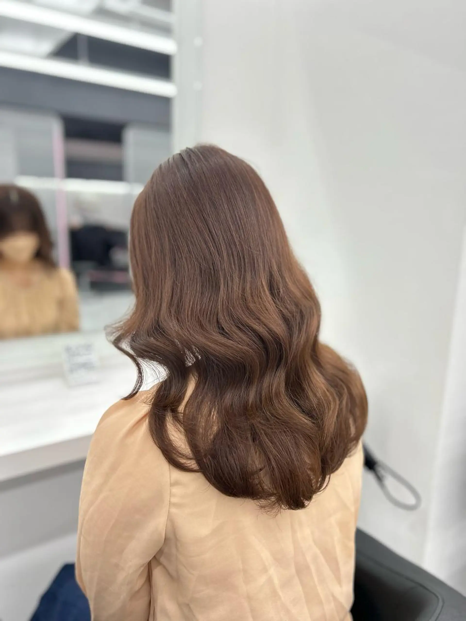 ロング カラー ブリーチなしカラー/ ブラウン/レイヤーのヘアスタイル