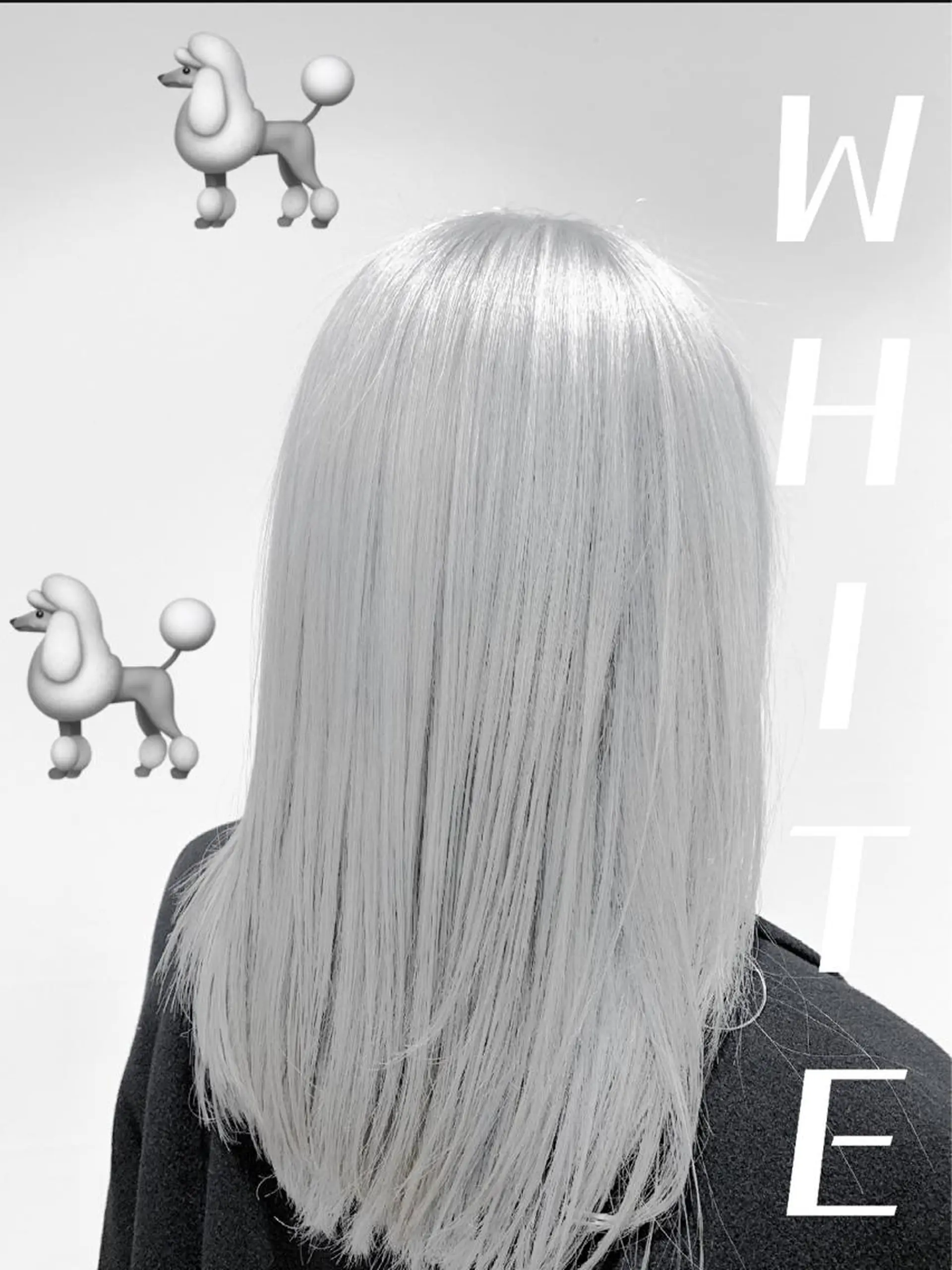 セミロング カラー mahalo hair design所属・ハイトーン特化 川井優汰のヘアスタイル