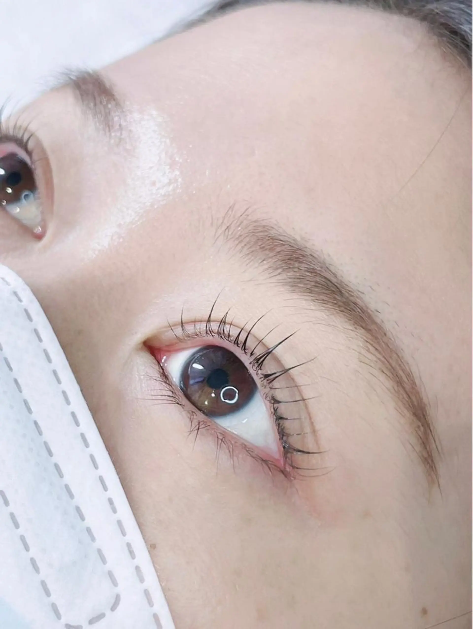 マツエク・マツパ パリジェンヌラッシュリフト elua eyelash所属・elua eyelashの眉毛・アイブロウイメージ