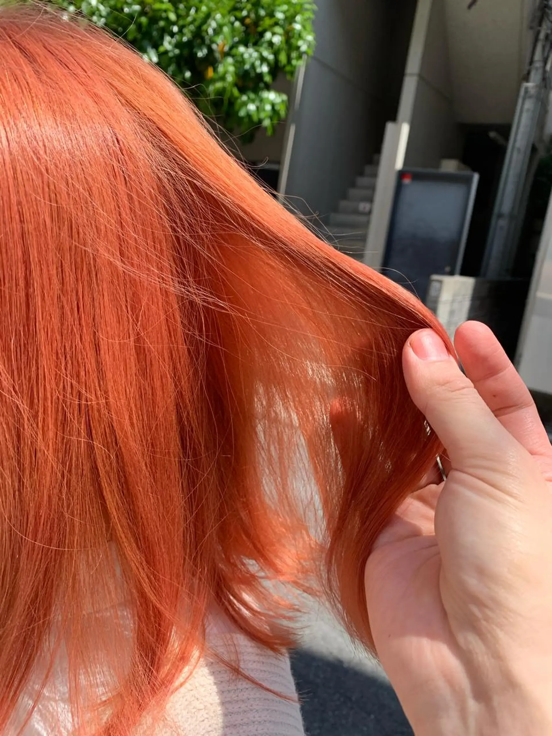 ミディアム カラー カット ヘアカラー トリートメント レイヤー/透明感 カラー🌿KANTAのヘアスタイル