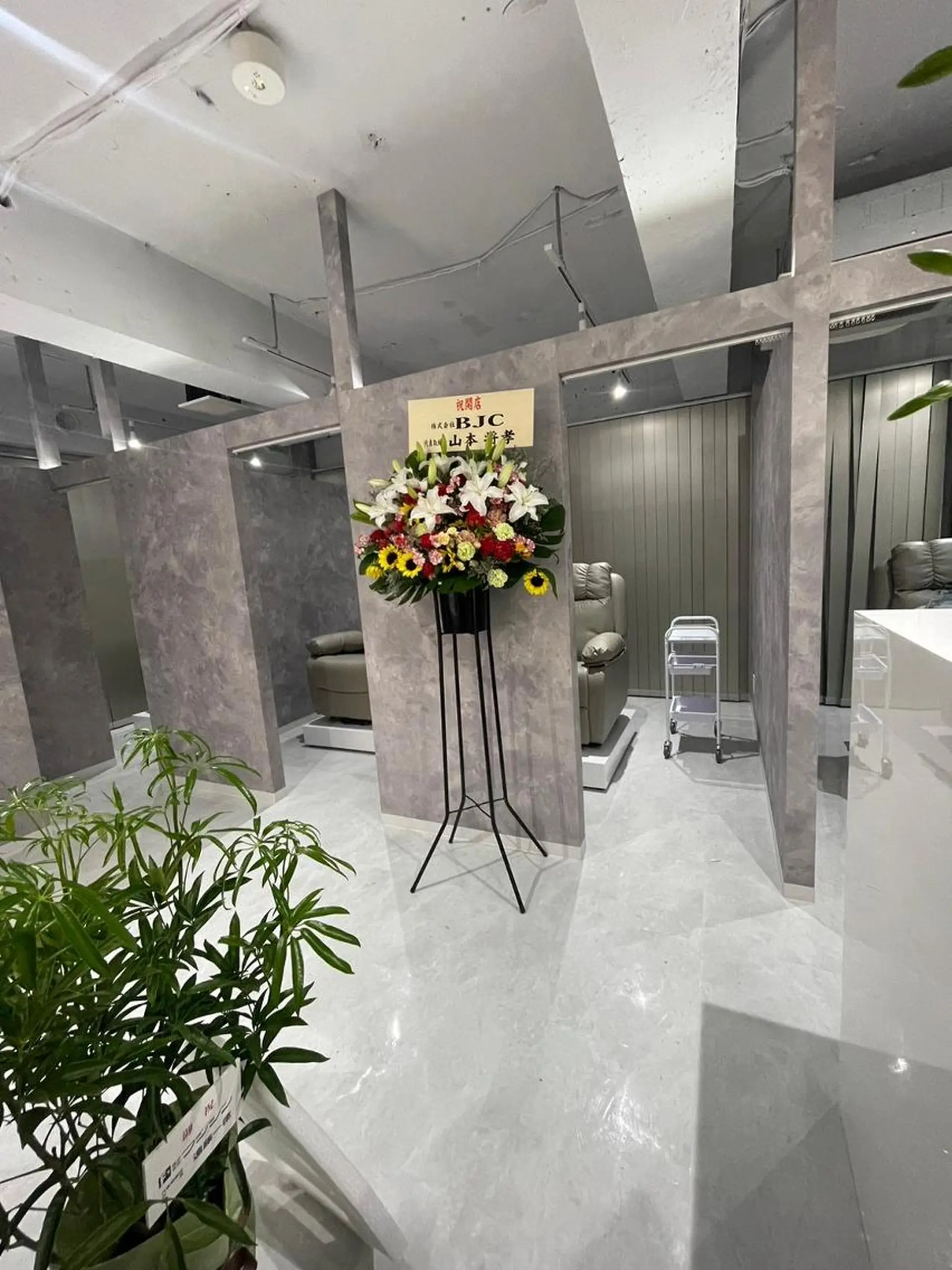 マツパ 🍀fein. sakura🍀の眉毛・アイブロウイメージ