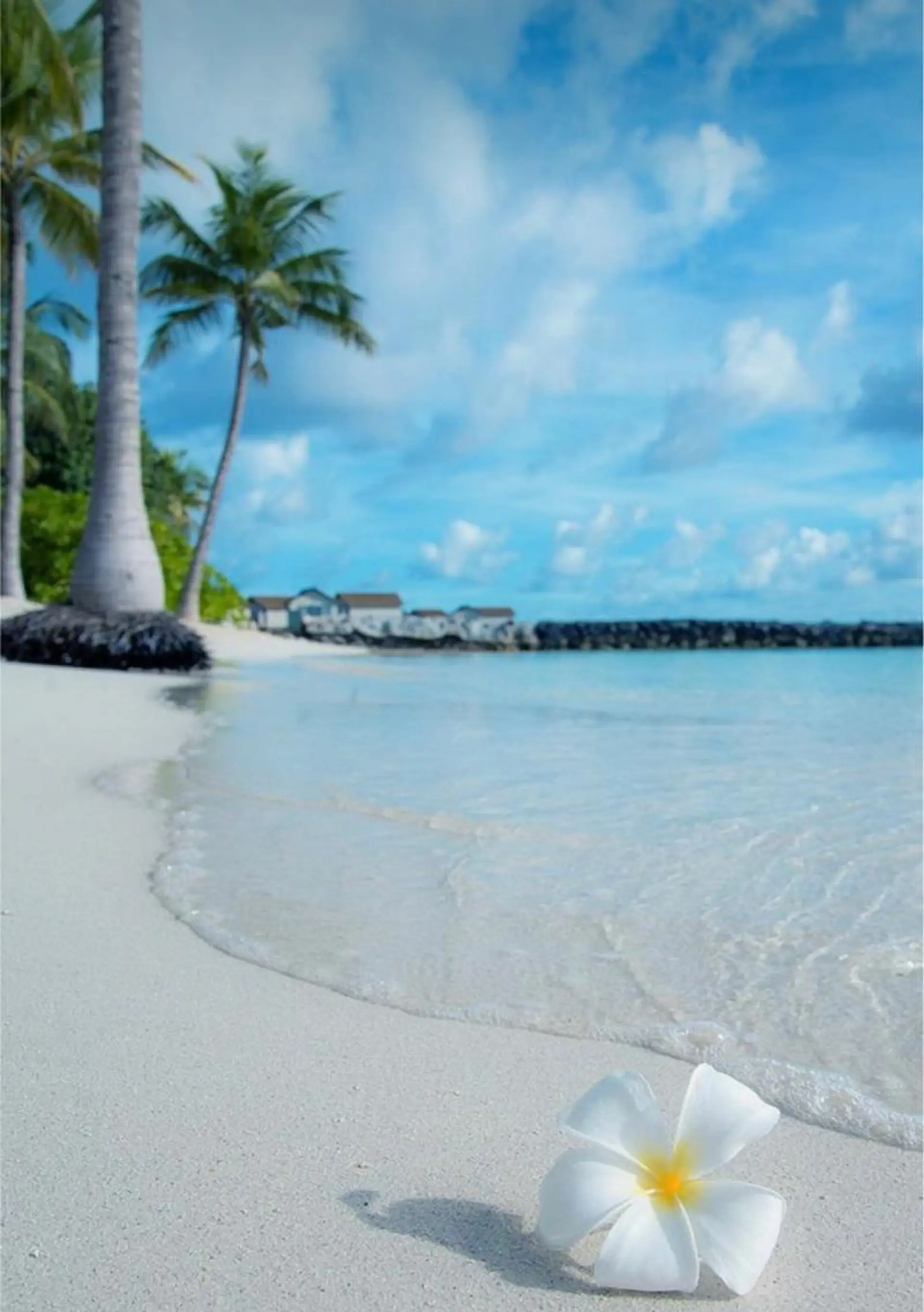 Bless hair &spa所属・🫧縮毛矯正／カラー ／bless松浦🫧のヘアスタイル