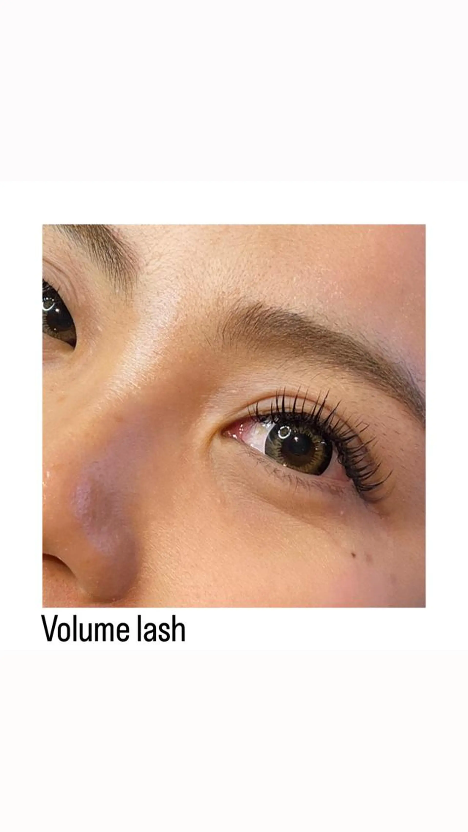 マツエク・マツパ ボリュームラッシュ MAKOTO🌹 Amaranth金山のマツエク・マツパデザイン