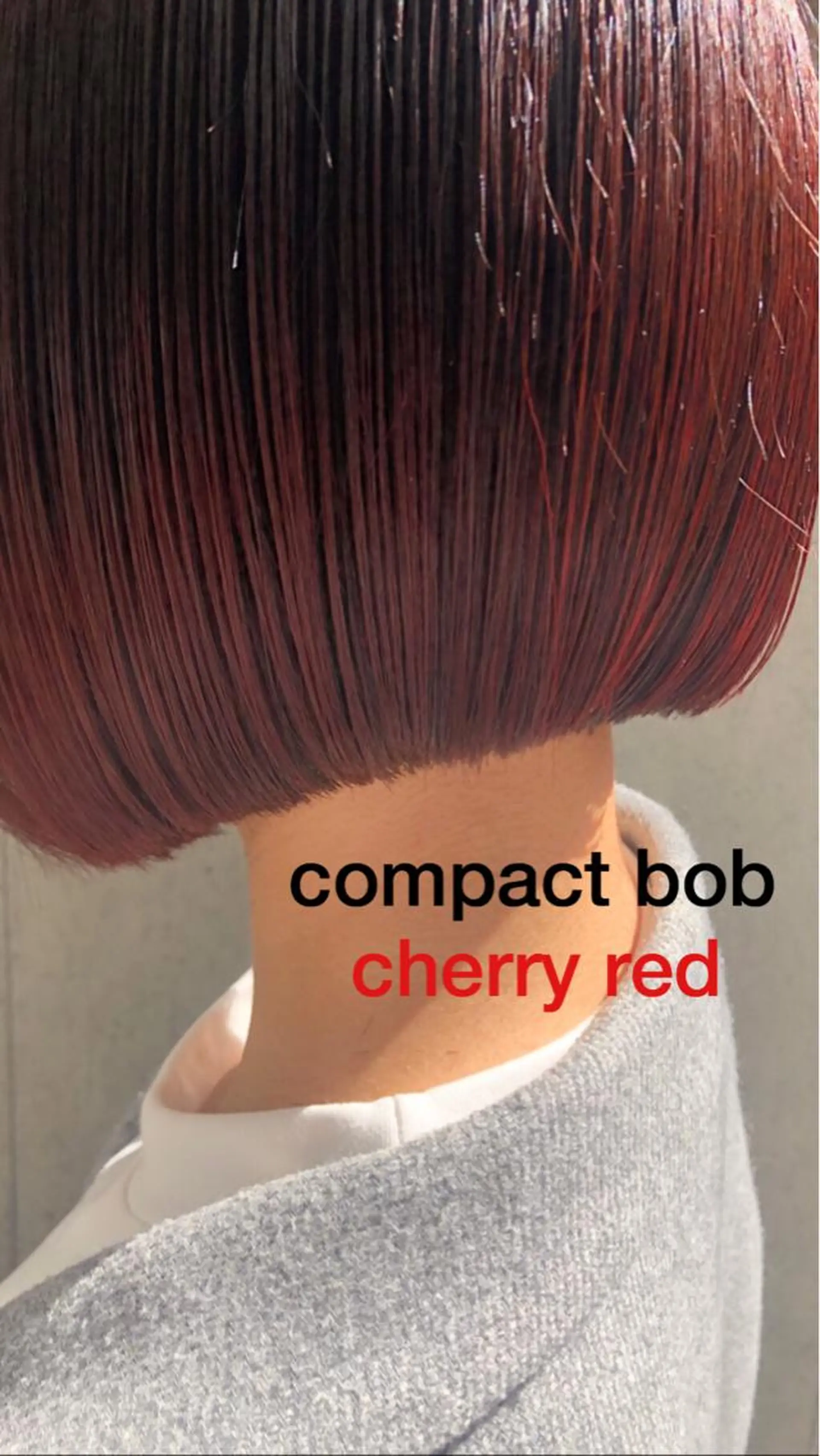 ショート カラー カット ヘアカラー ブランロール中目黒店所属・stylist 杉浦駿生のヘアスタイル