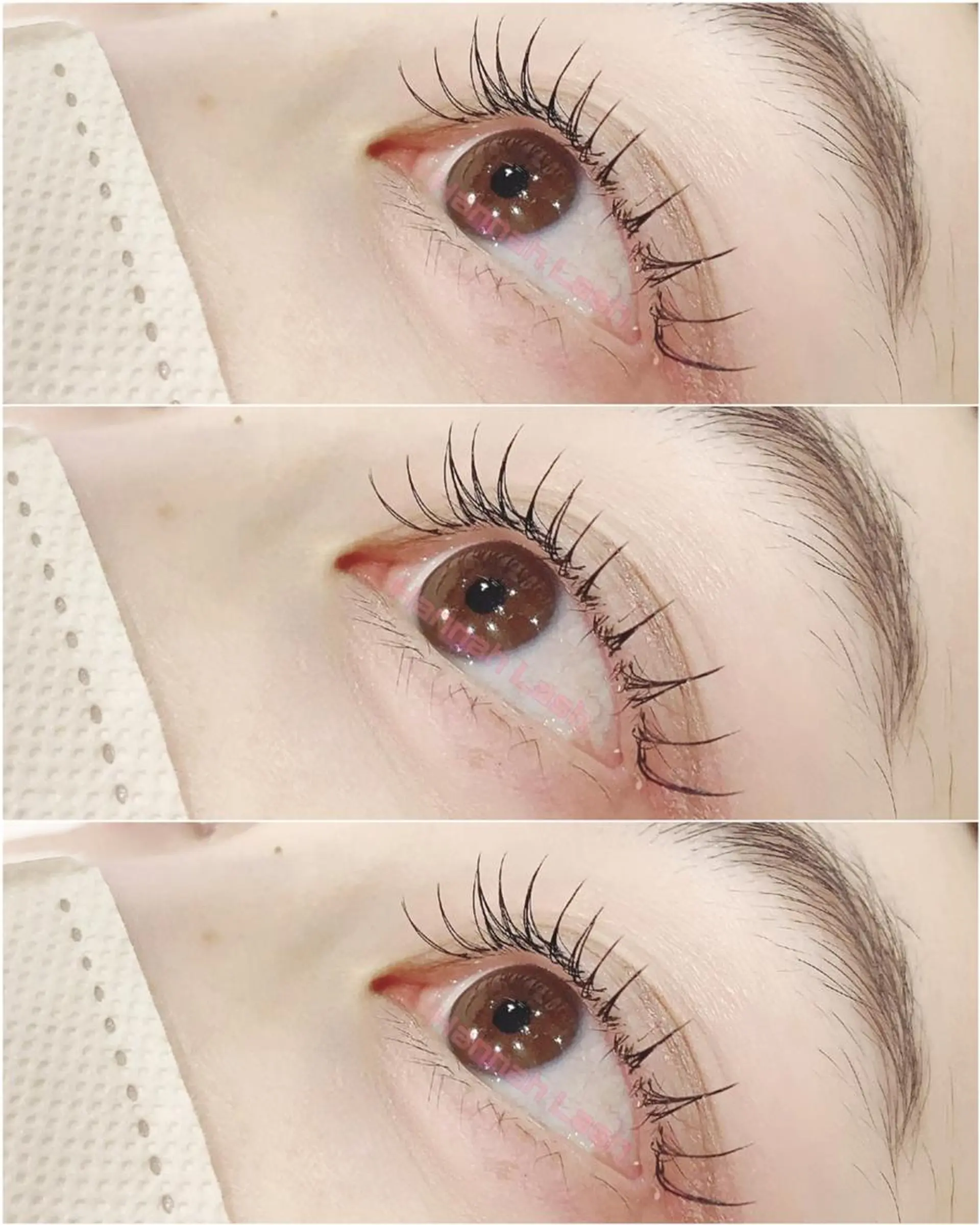 マツエク・マツパ マツエク Hannah lashのマツエク・マツパデザイン