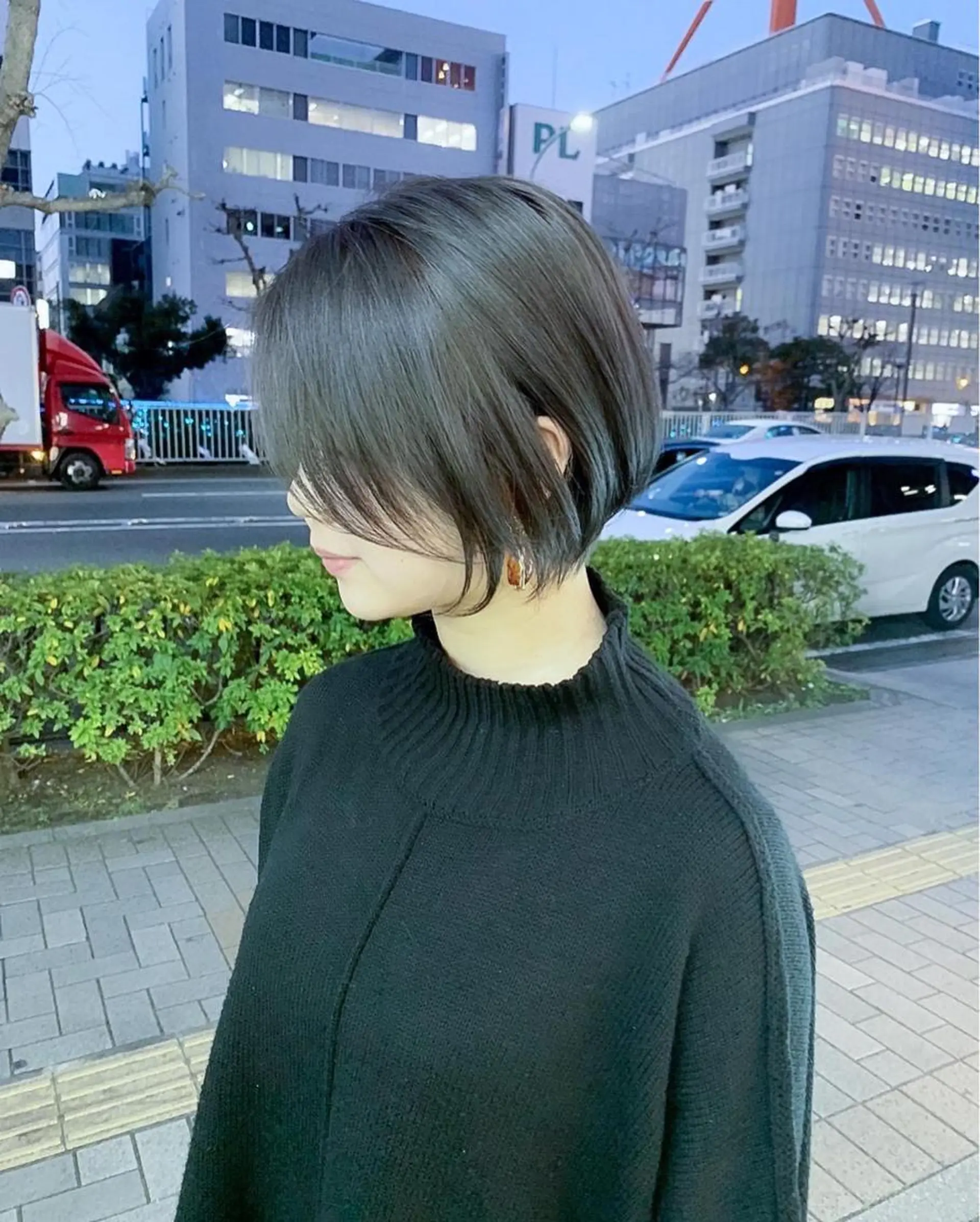 ショート カラー ✂️ショート満足度 No.1犬山直哉✂️のヘアスタイル