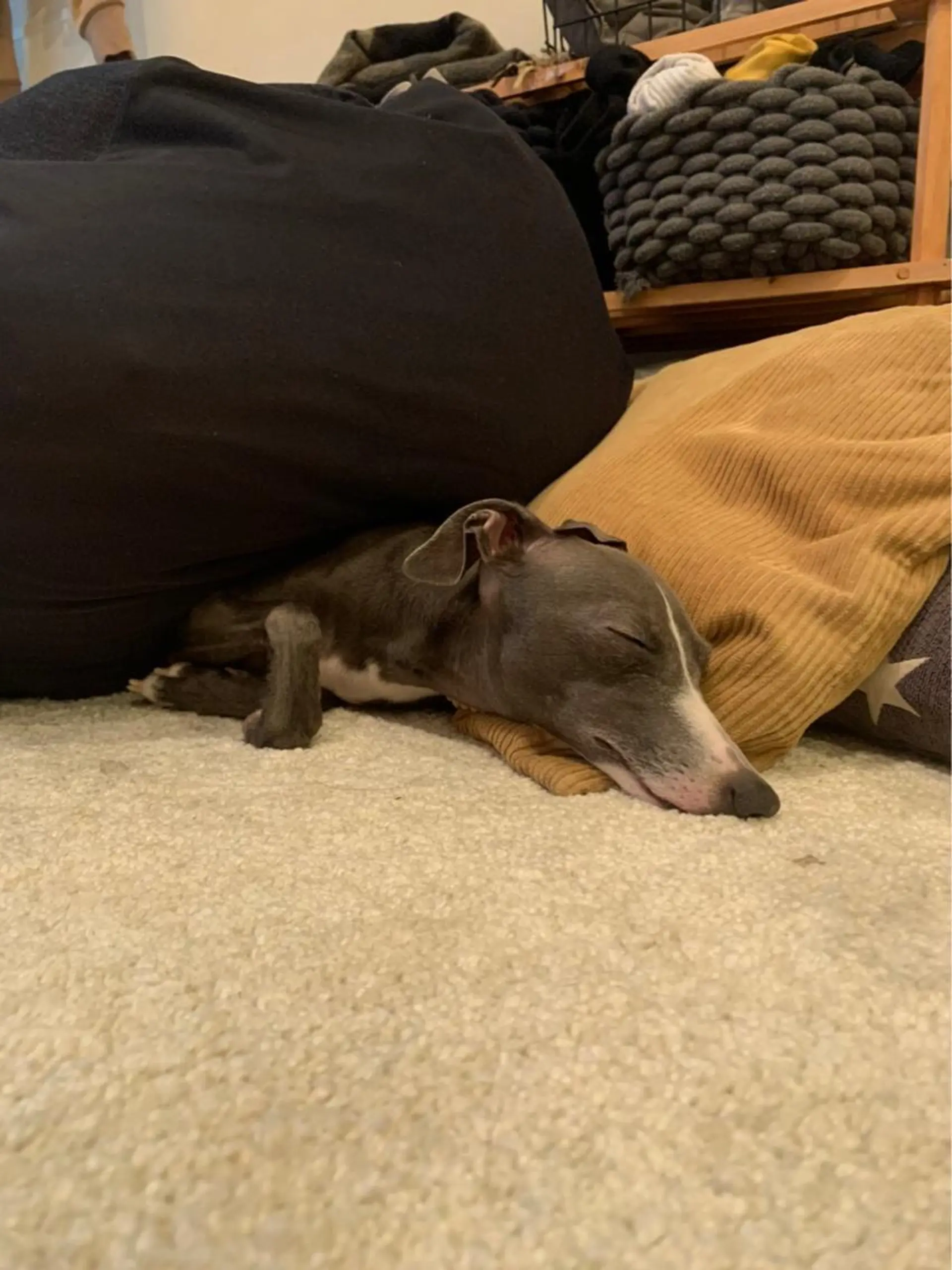 shimizu yuuのネイルデザイン