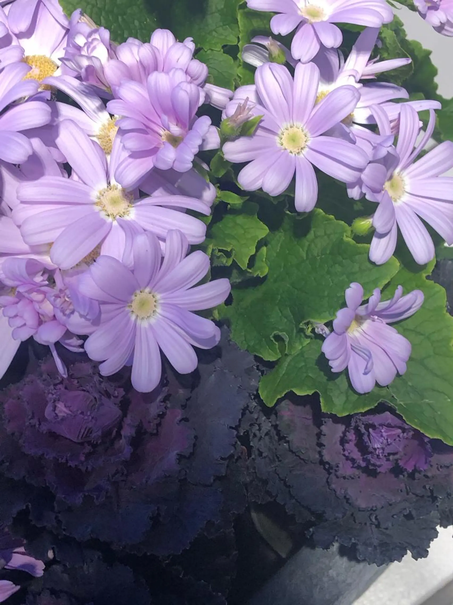 ネイル ハンドネイル nailsalon　hue所属・小山 羽奈のネイルデザイン