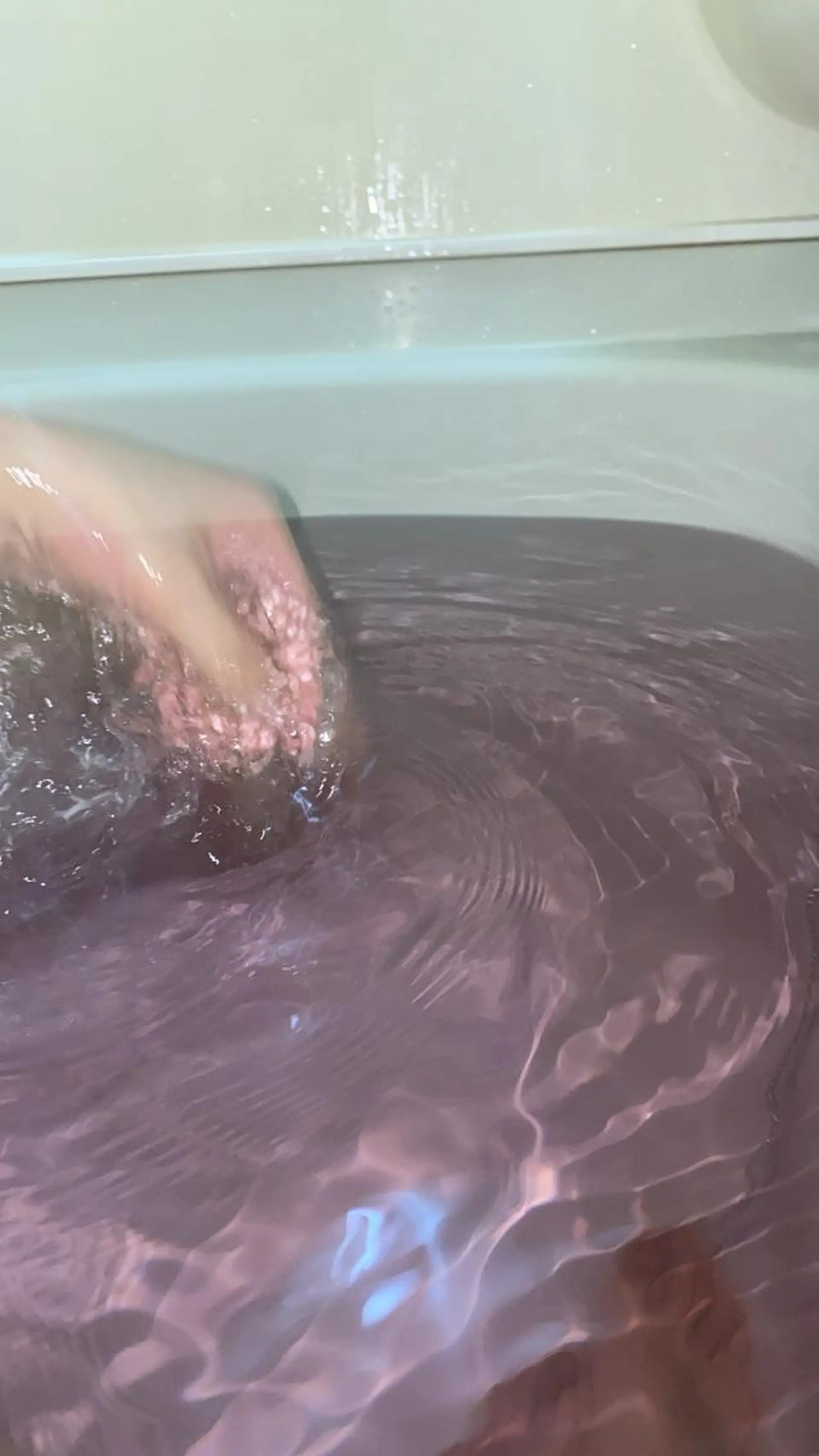 🌻井上 マリー🌻のヘアスタイル