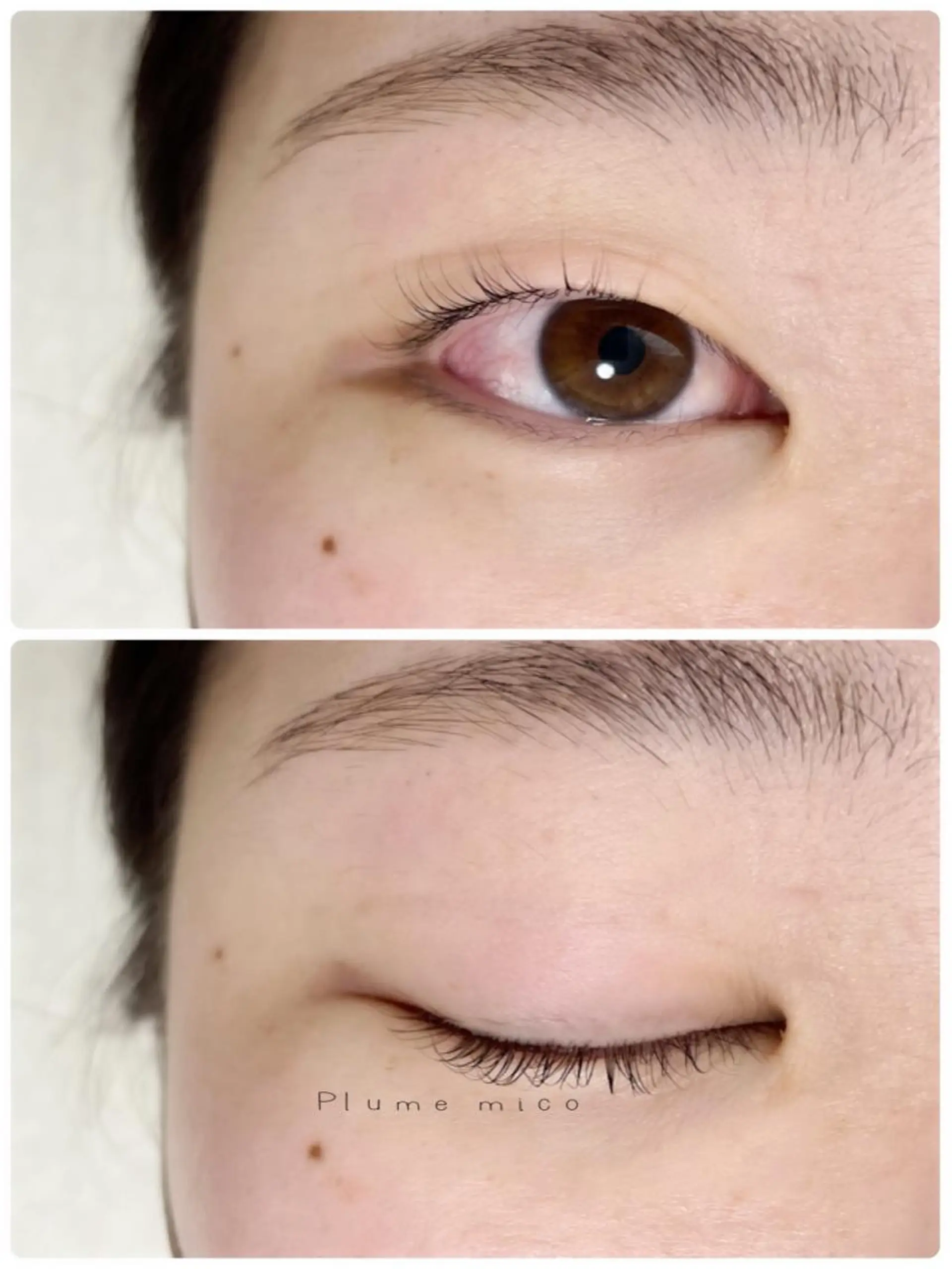 マツエク・マツパ マツパ Plume micoのマツエク・マツパデザイン