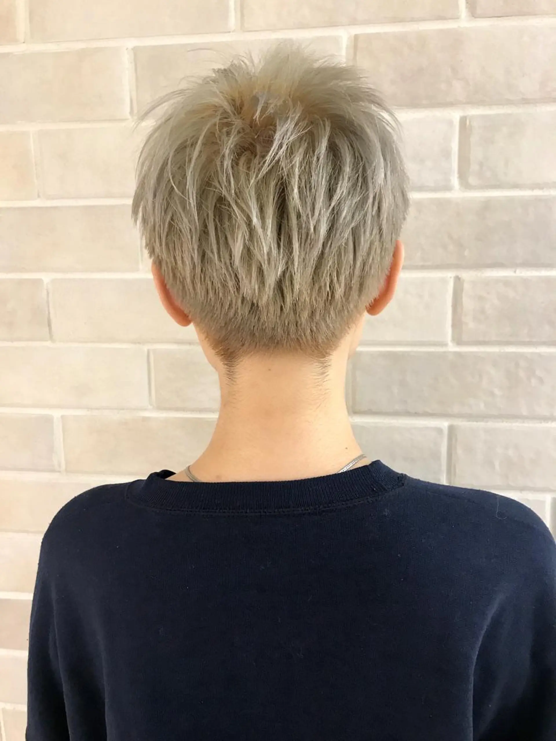 ショート カラー 艶髪カラー&ウルフ フルカワ ヒロズミのヘアスタイル