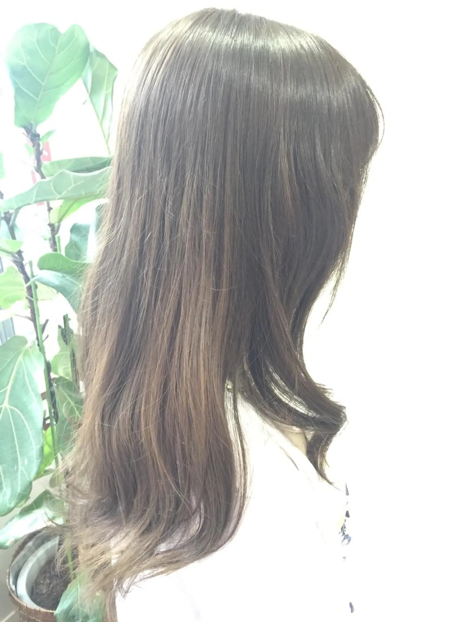カラー イルミナカラー 💜ツヤヘアケア🩷 サトウシュンスケのヘアスタイル