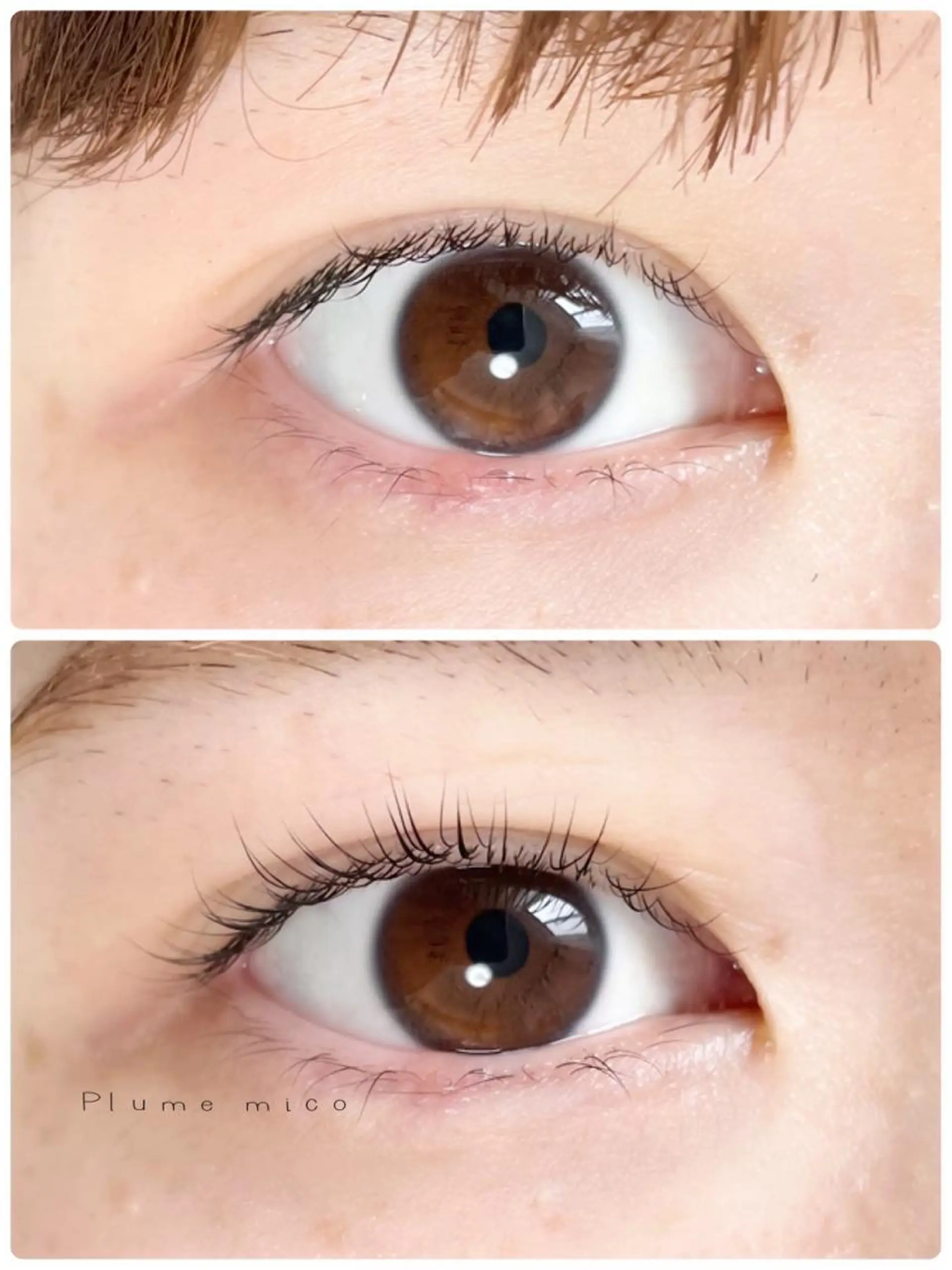 マツエク・マツパ パリジェンヌラッシュリフト マツパ Plume micoのマツエク・マツパデザイン