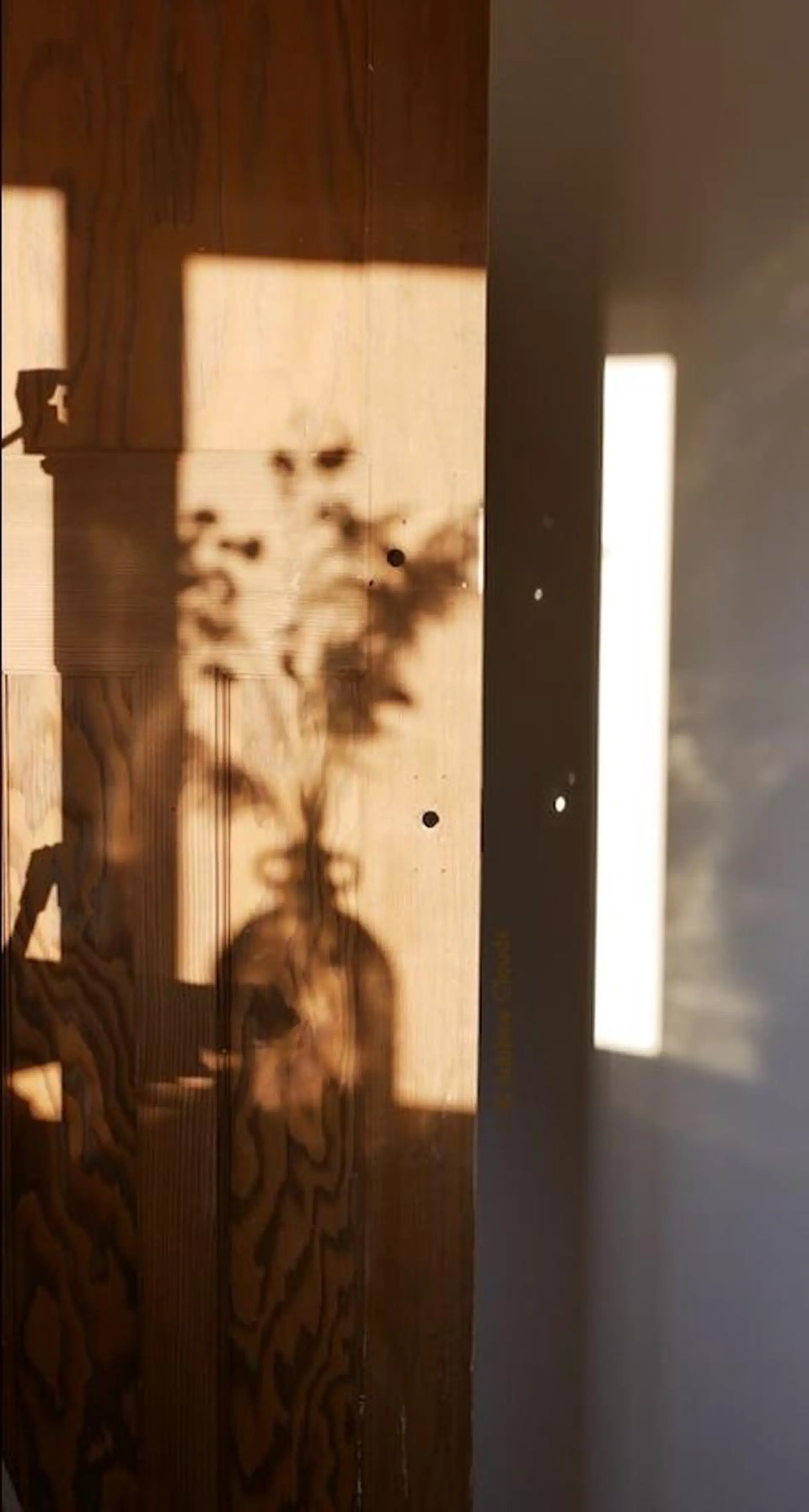 マツエク・マツパ miien(SALONVILLAGE内)所属・MOE /渋谷・明治神宮前のマツエク・マツパデザイン