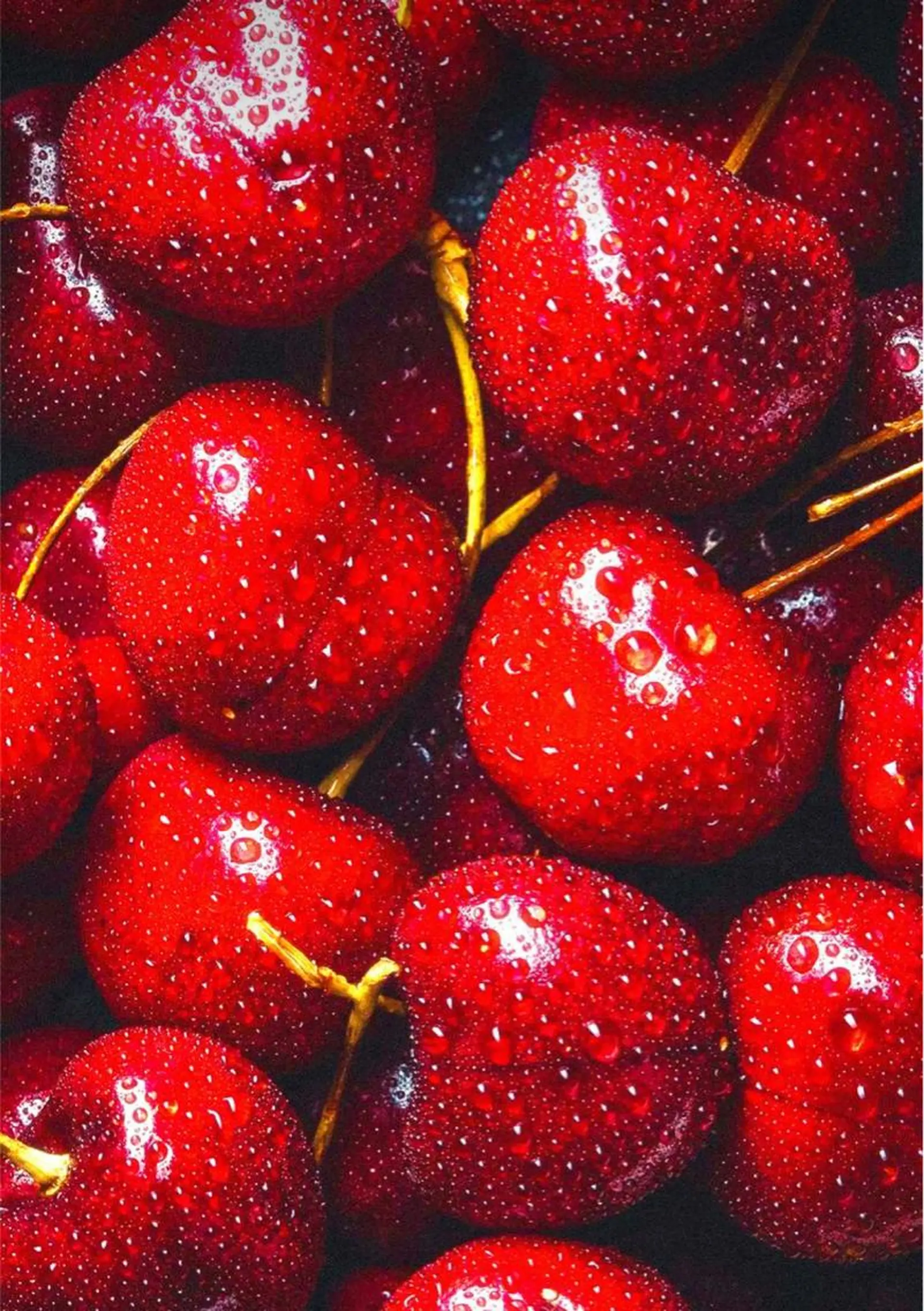 Bless hair &spa所属・🫧縮毛矯正／カラー ／bless松浦🫧のヘアスタイル