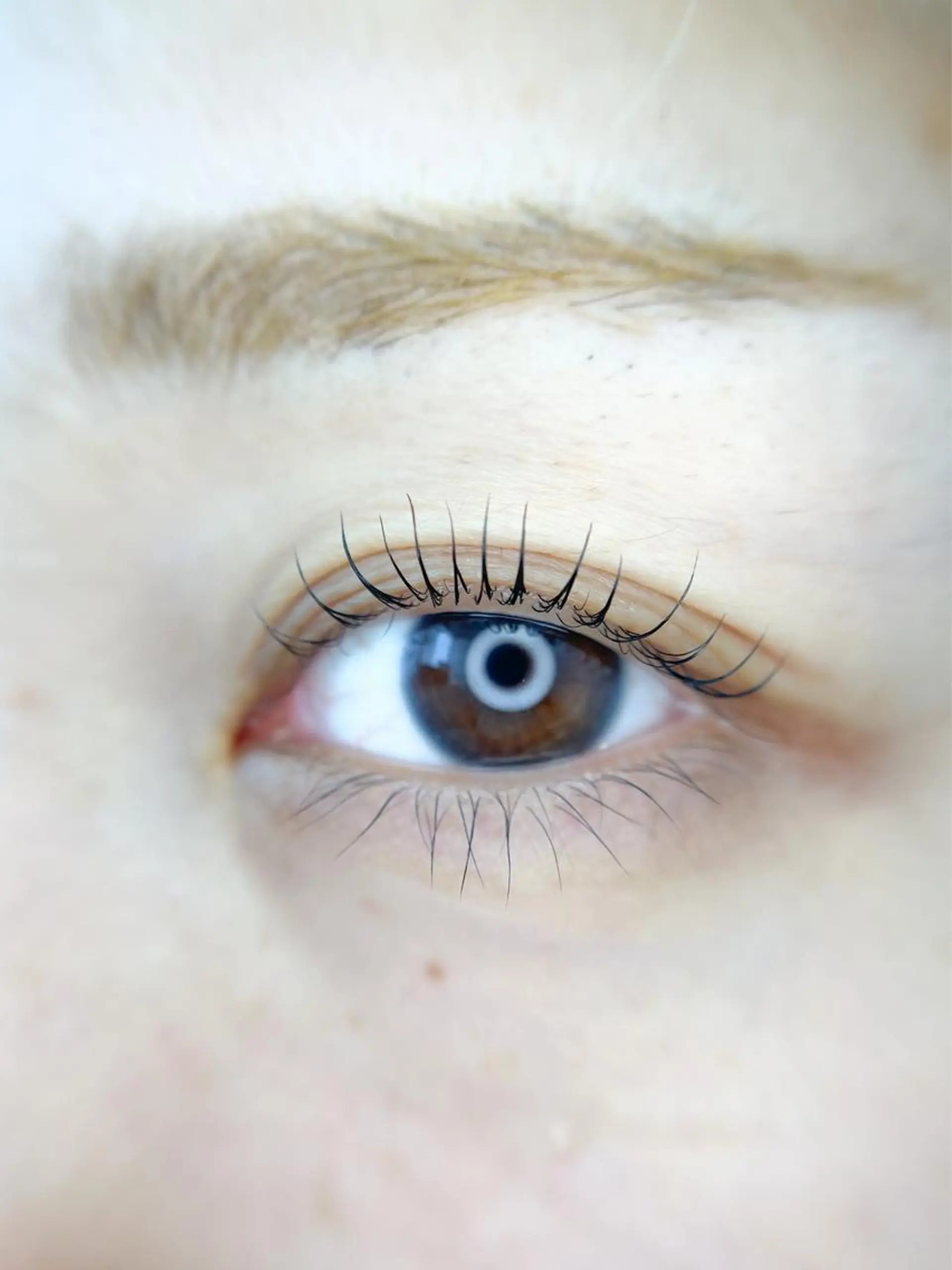 マツエク・マツパ まつげと美肌のお店 nalucaのマツエク・マツパデザイン