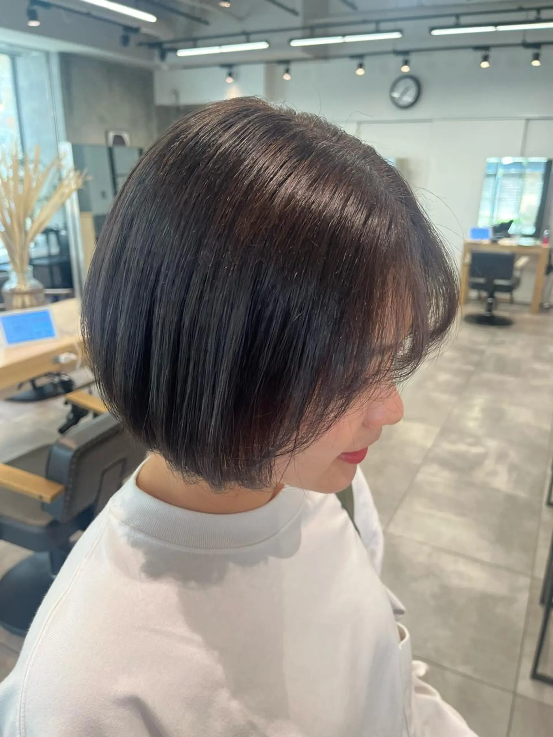 ショート カラー ブラウンカラー パープルカラー おおや みゆのマツエク・マツパデザイン