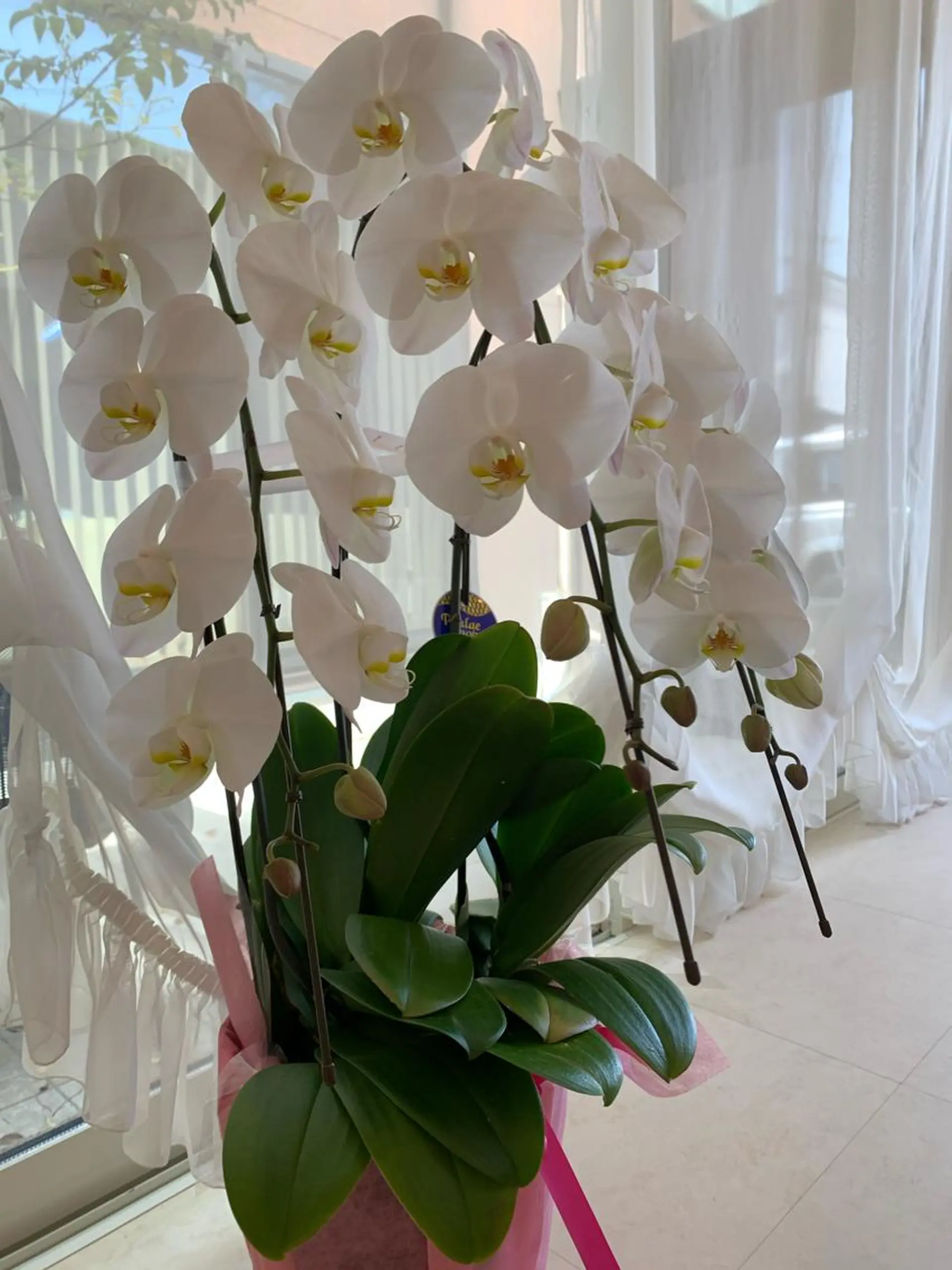 ネイル Rubynail所属・プライベートサロン Rubynailのネイルデザイン