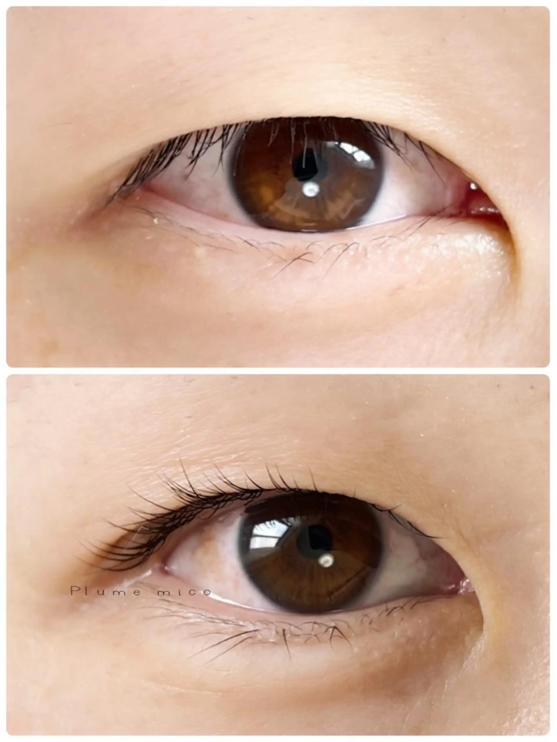 マツエク・マツパ マツパ Plume micoのマツエク・マツパデザイン