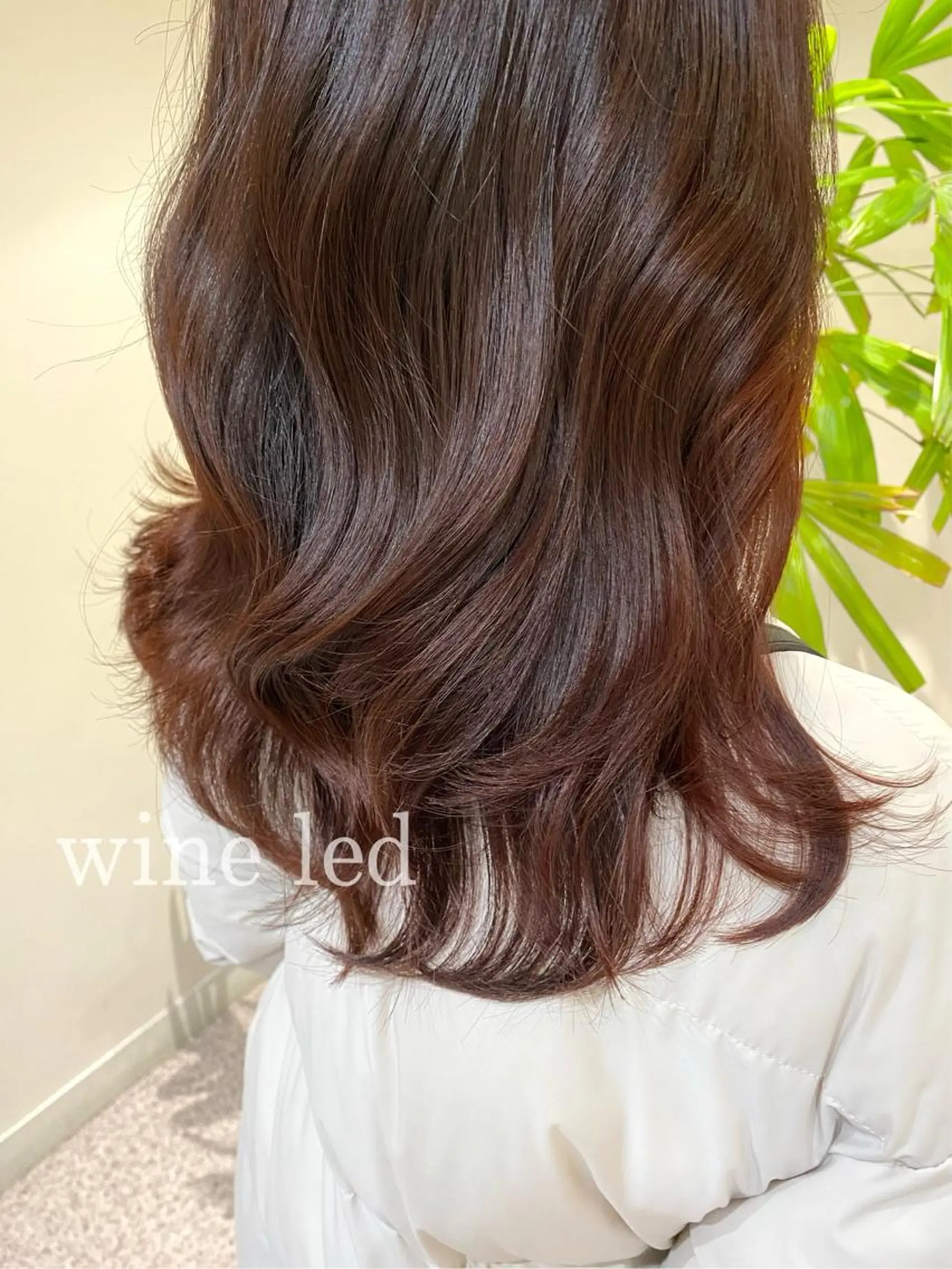 ロング カラー clomus所属・YUKA艶髪 🌸寛ぎ部屋のヘアスタイル