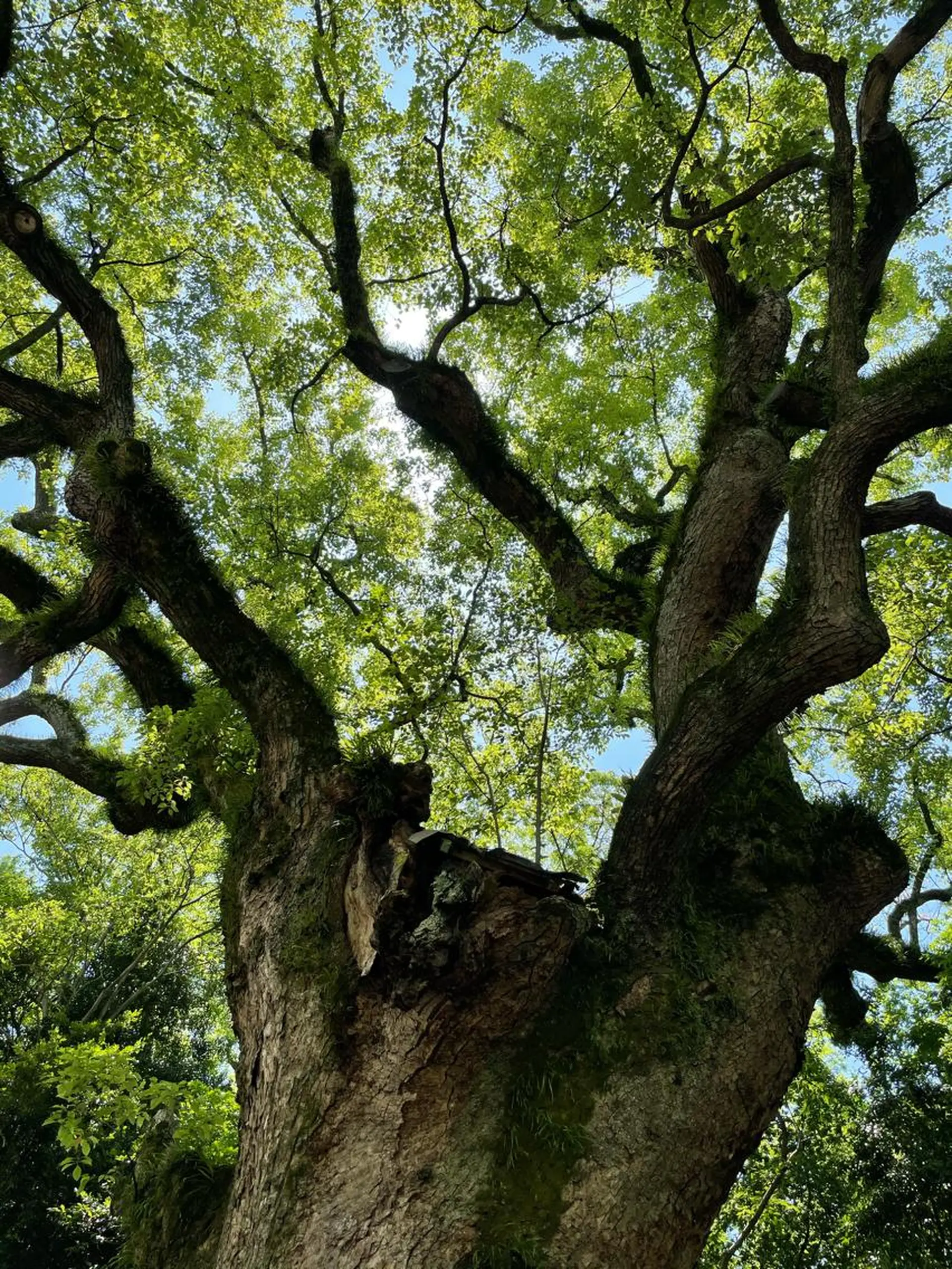 瑞穂区丸の内メナード 横山ともみのその他イメージ