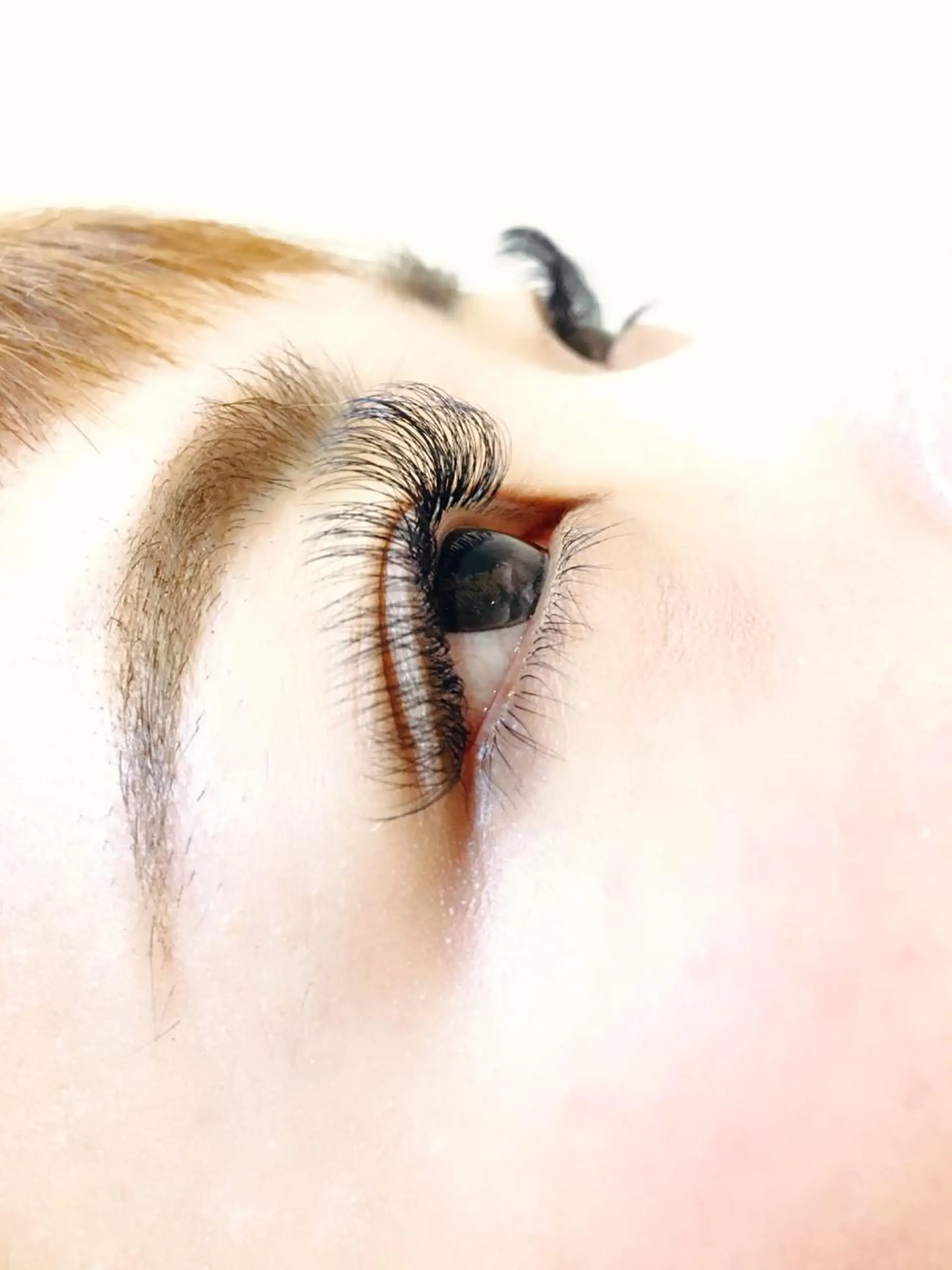 マツエク・マツパ Pucca Fukuokaのマツエク・マツパデザイン