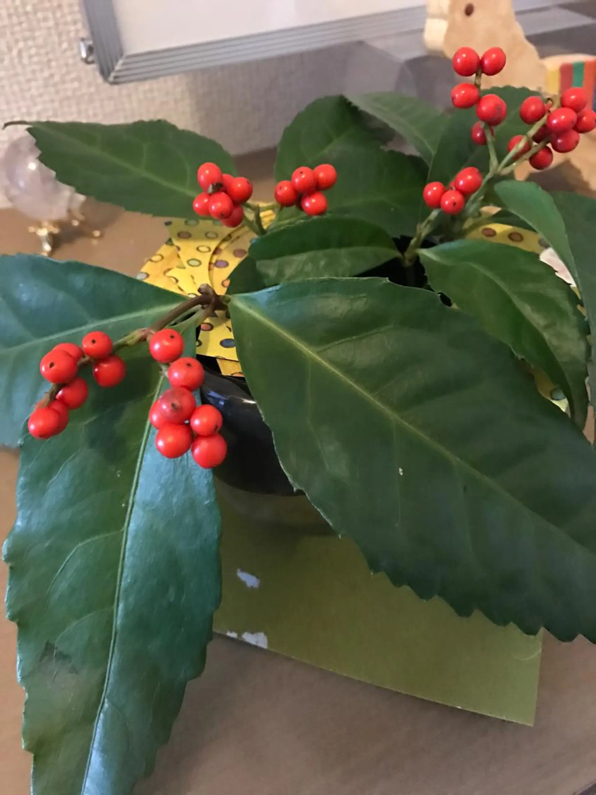 岩井 秋子のエステ・リラクイメージ