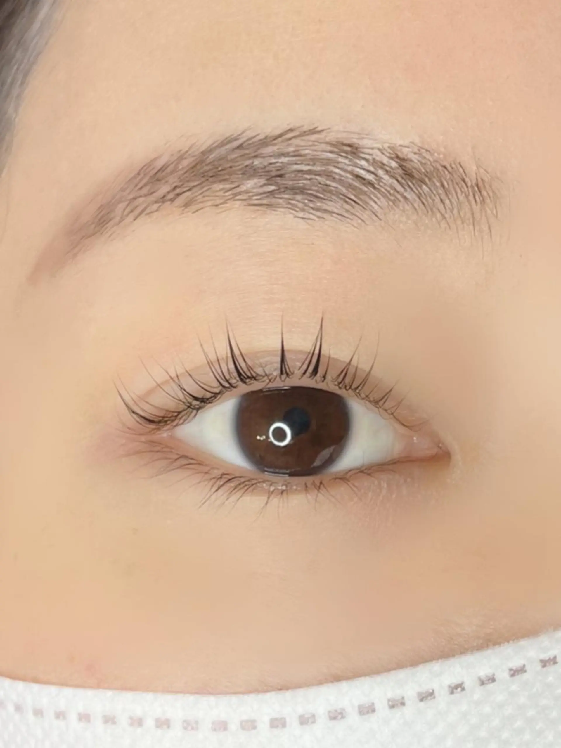 マツエク・マツパ 《eyelash ｉｉｔｅ》森のマツエク・マツパデザイン